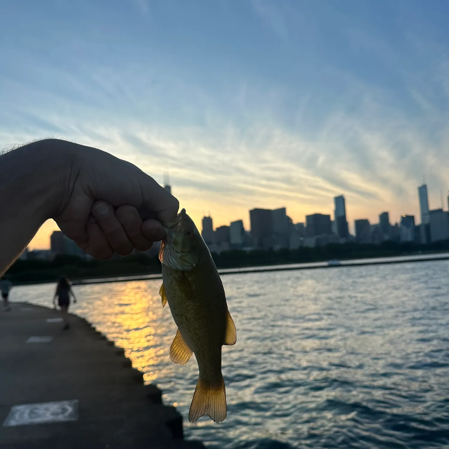 catch