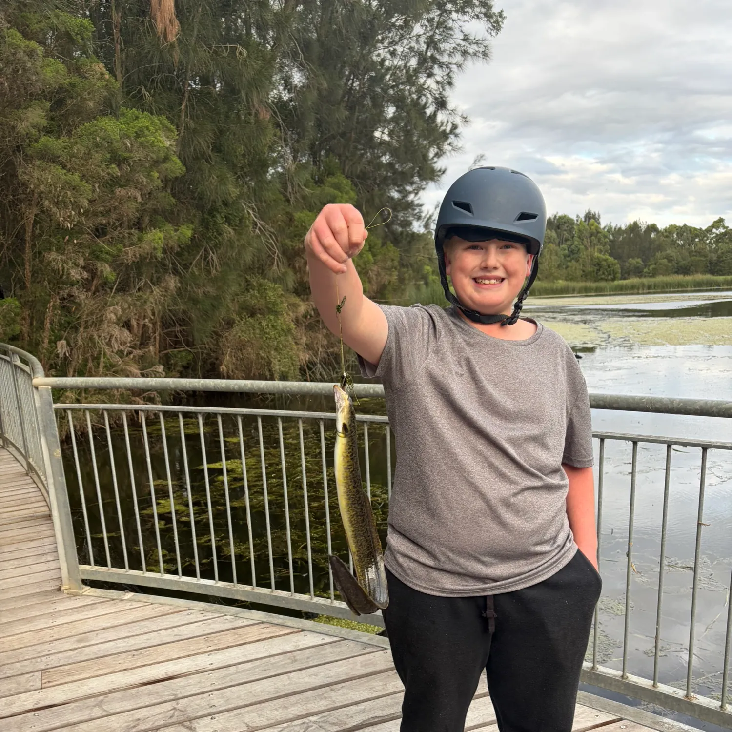 The most recent Shortfin eel catches on Fishbrain