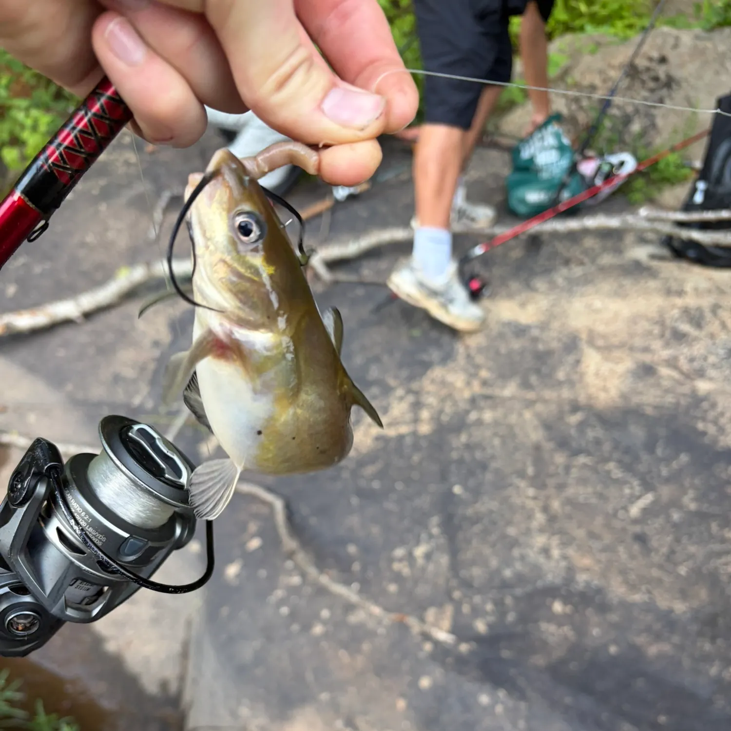 catch
