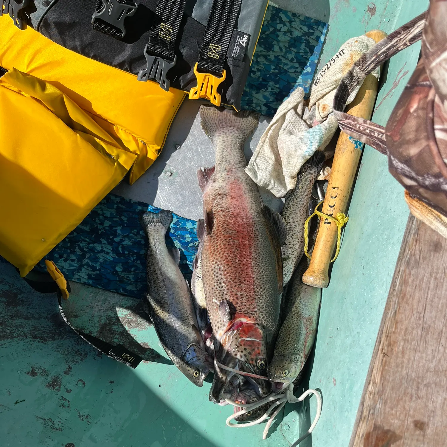 recently logged catches