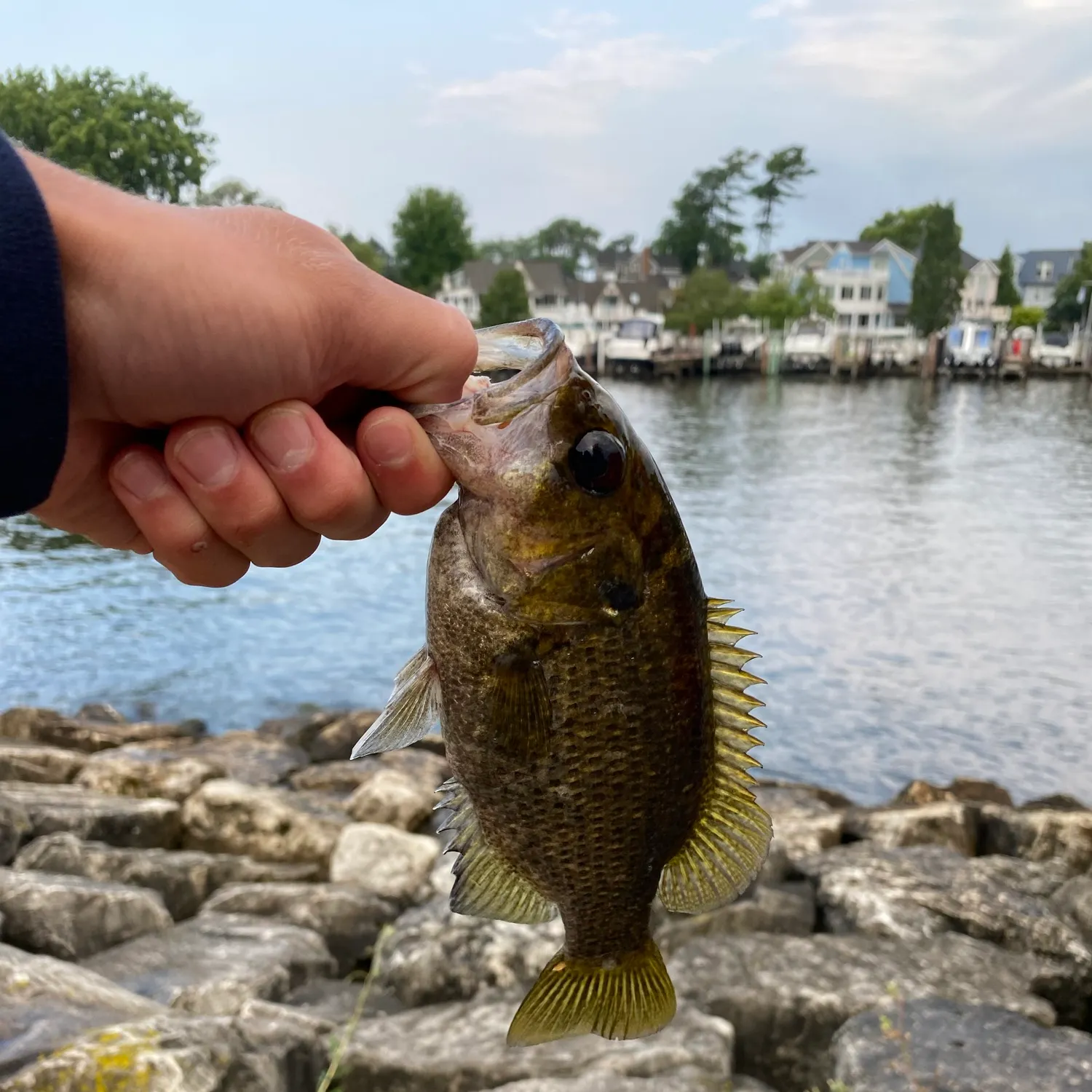catch