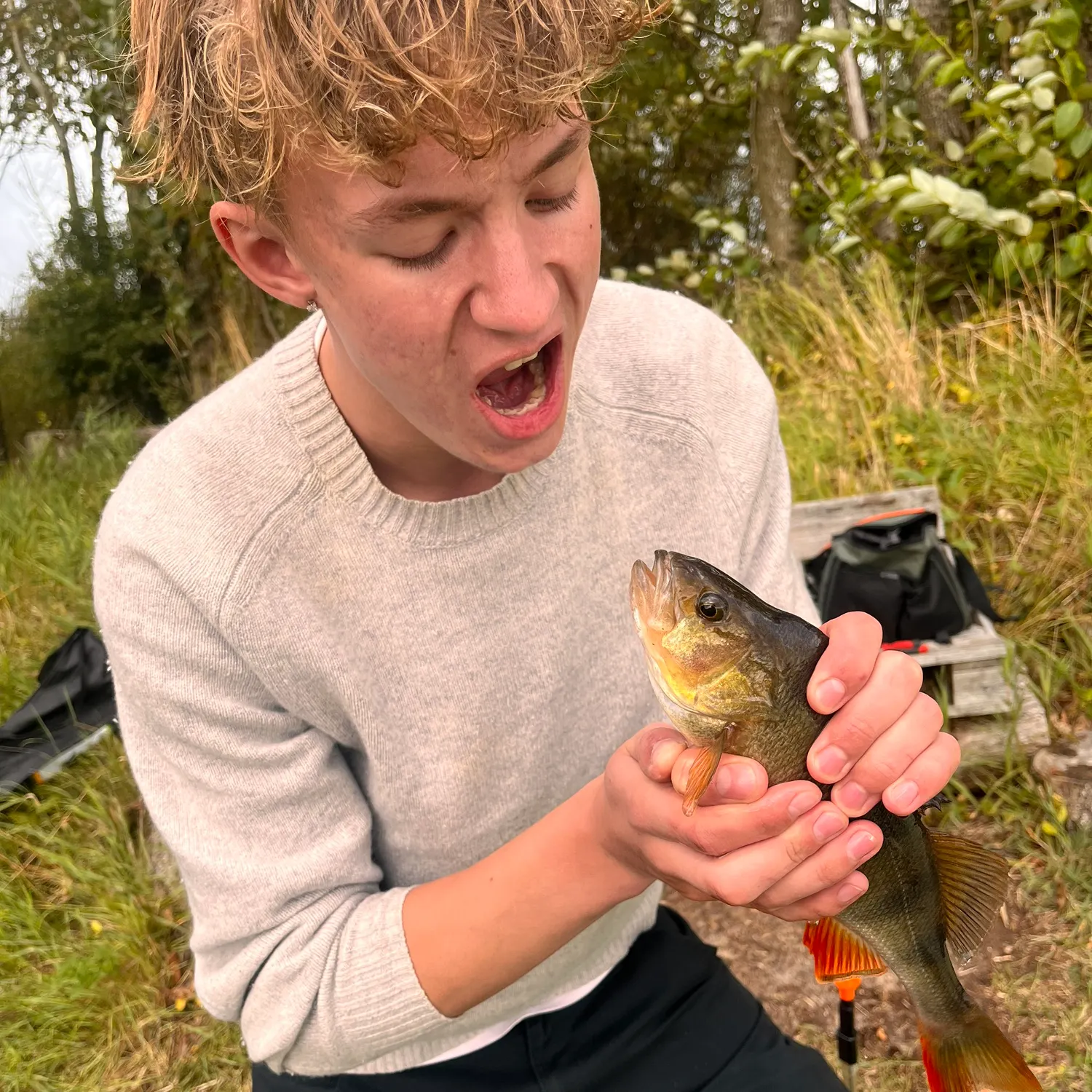 European perch caught on Fishbrain