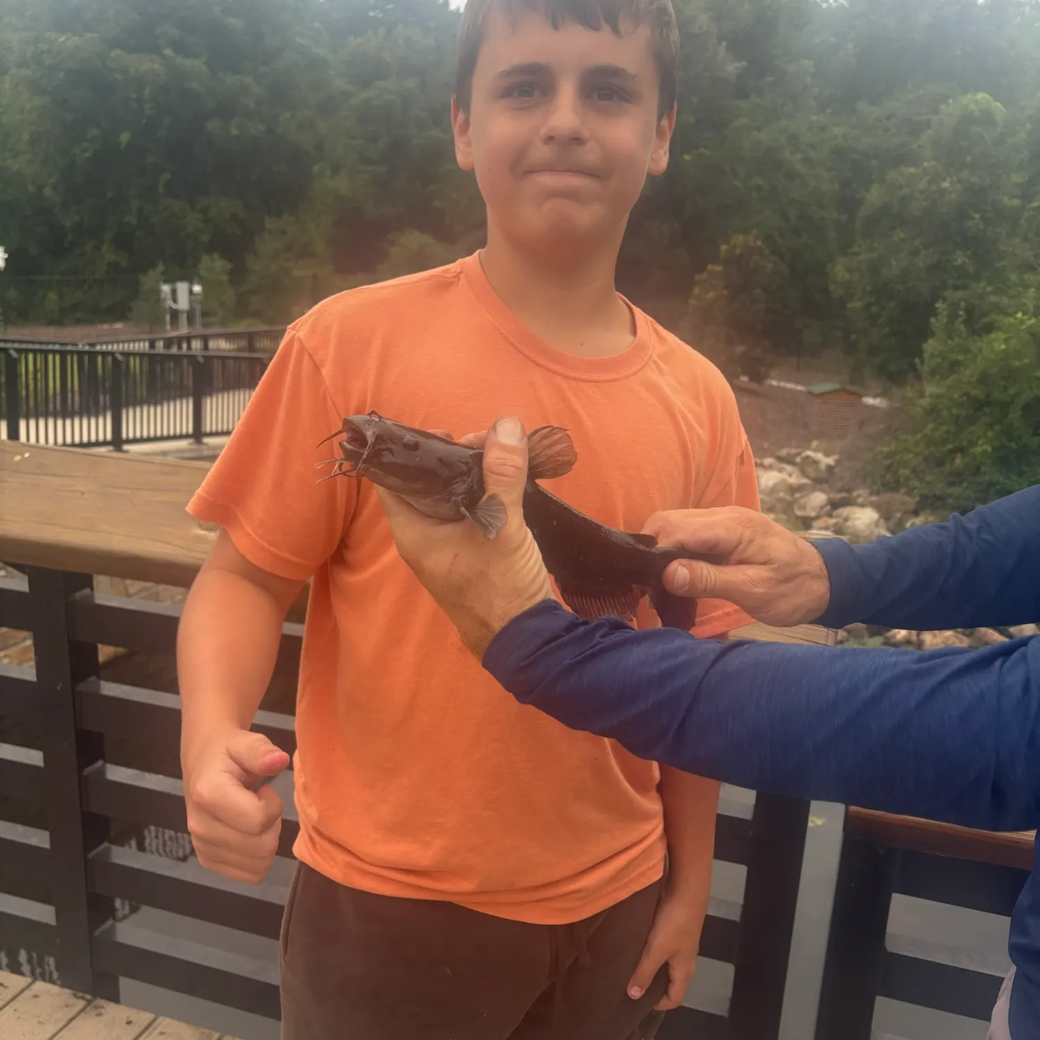 Fish caught on Fishbrain