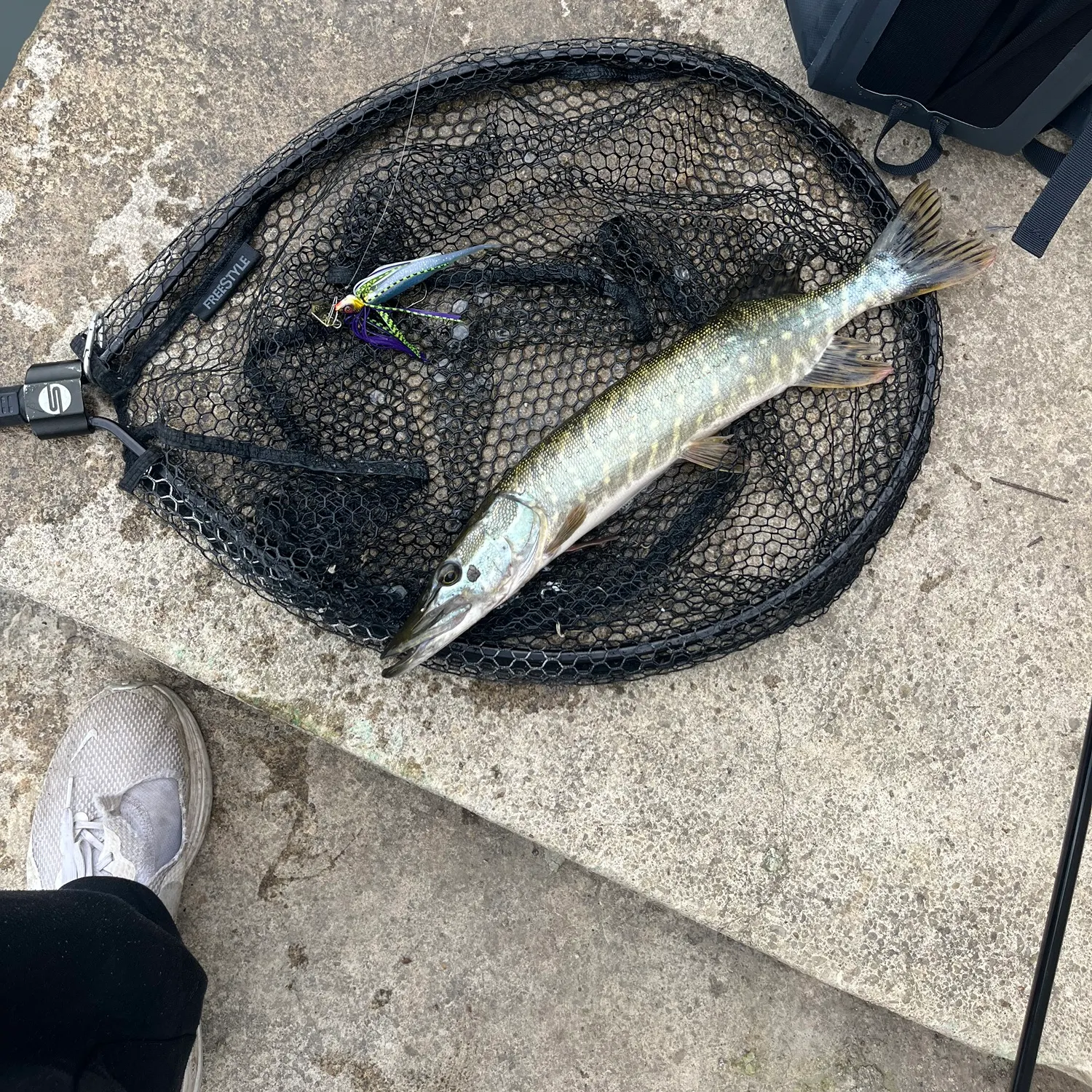 catch