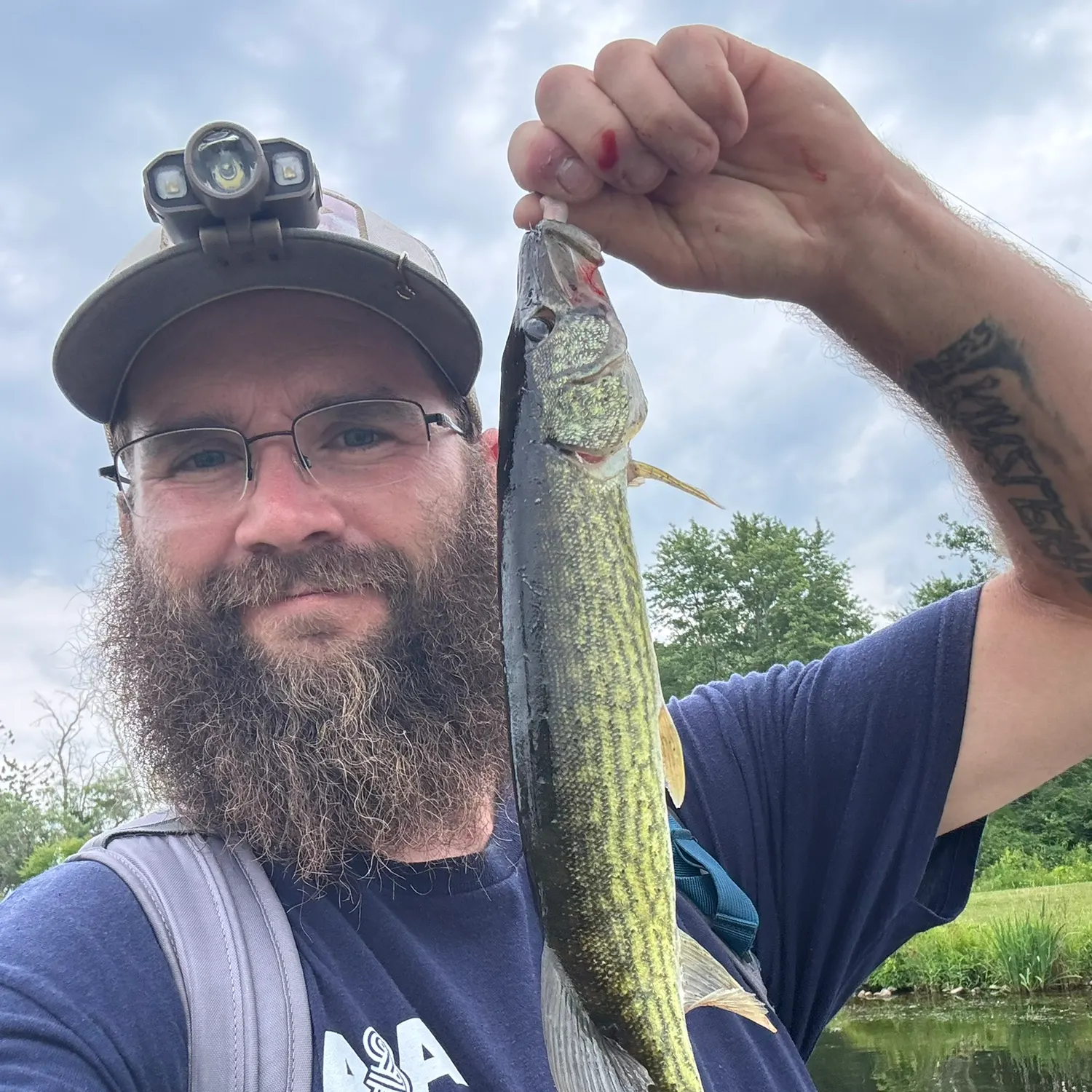 The most recent Chain pickerel catches on Fishbrain