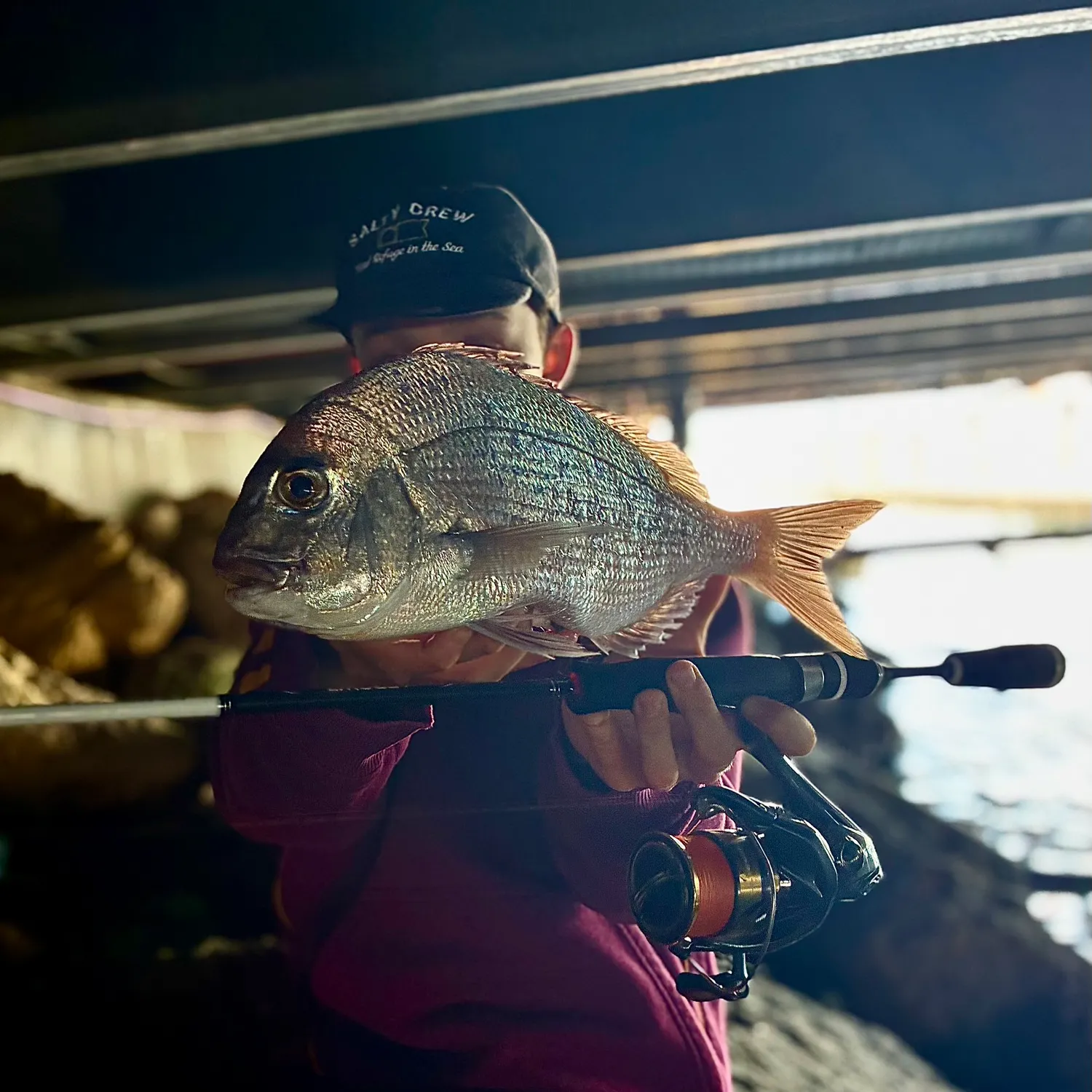 Fish caught on Fishbrain