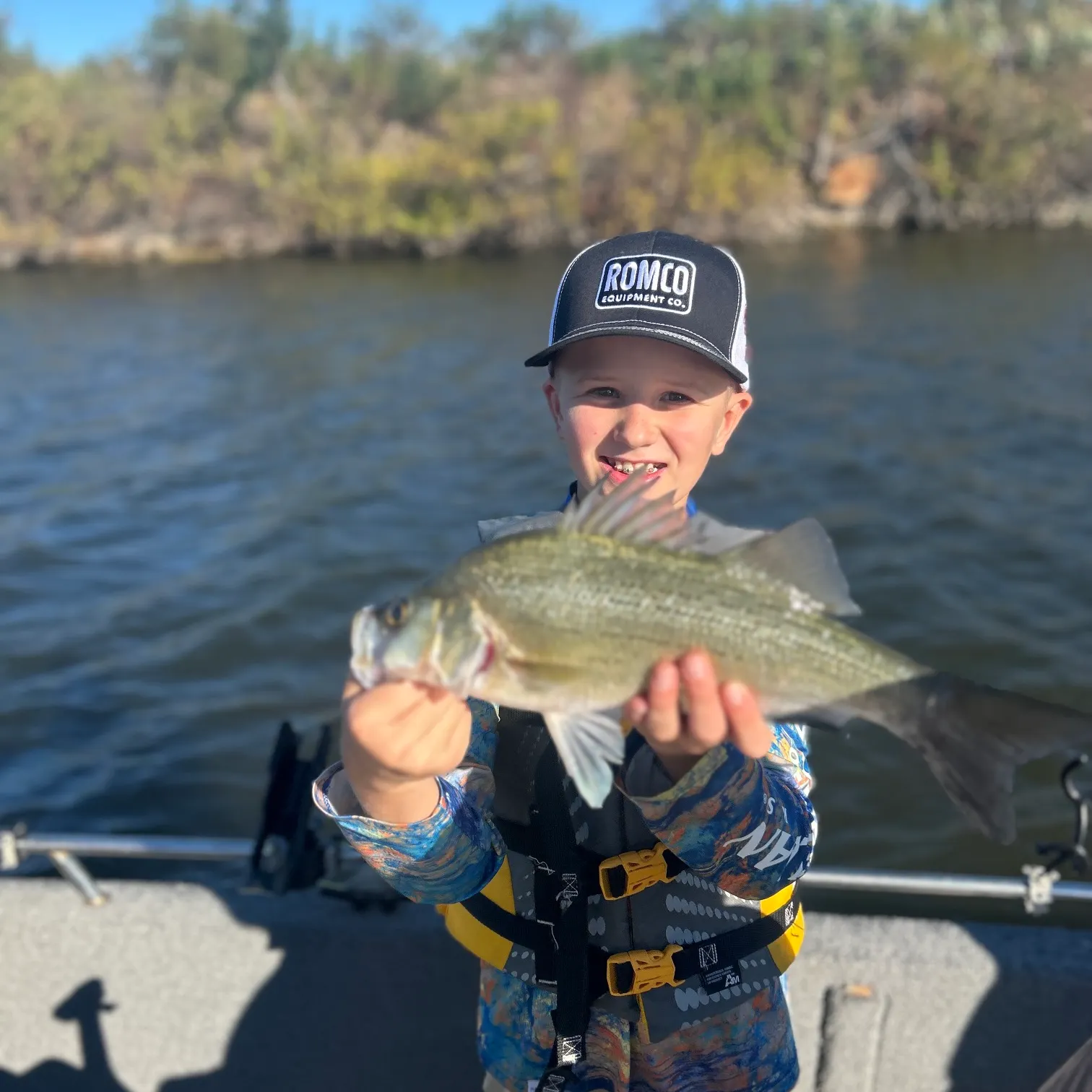 The most recent White bass catches on Fishbrain