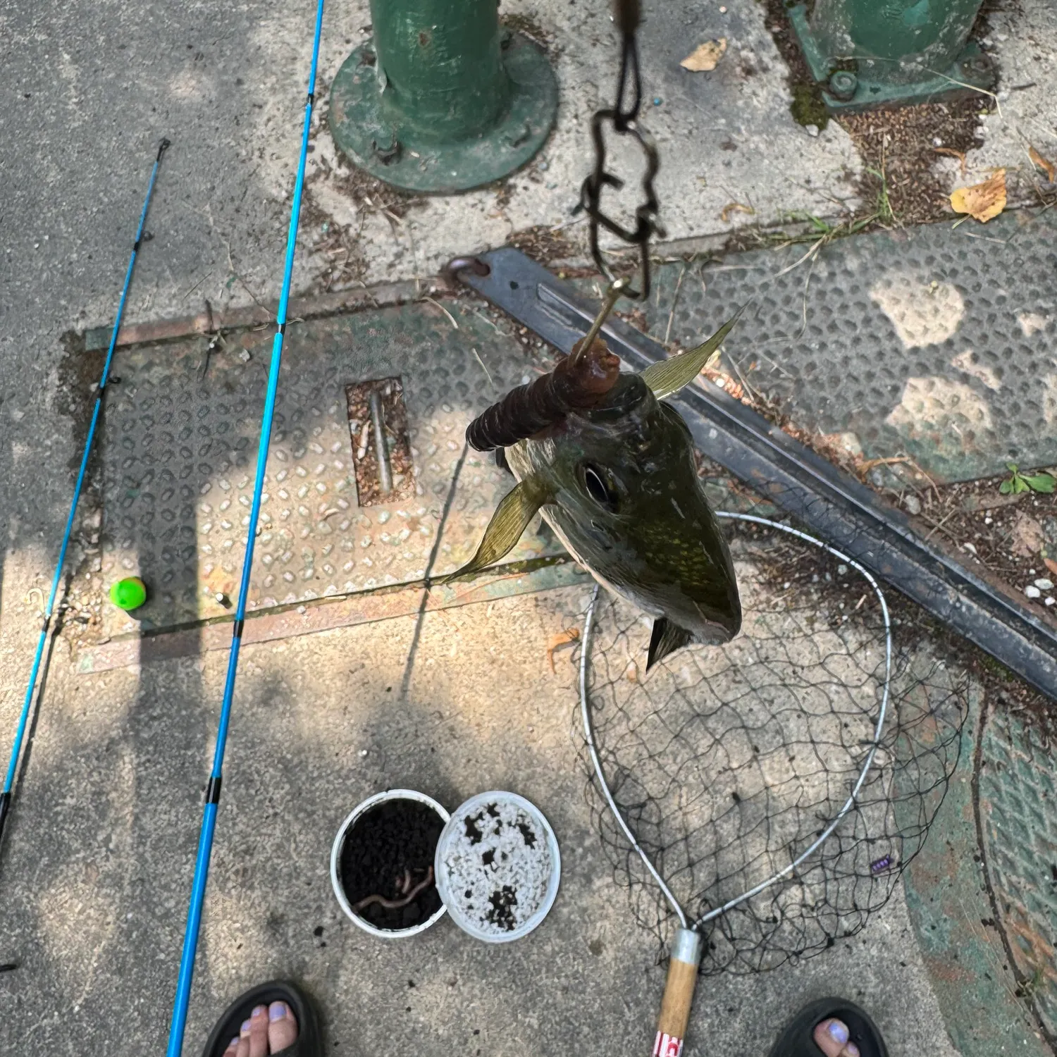 catch