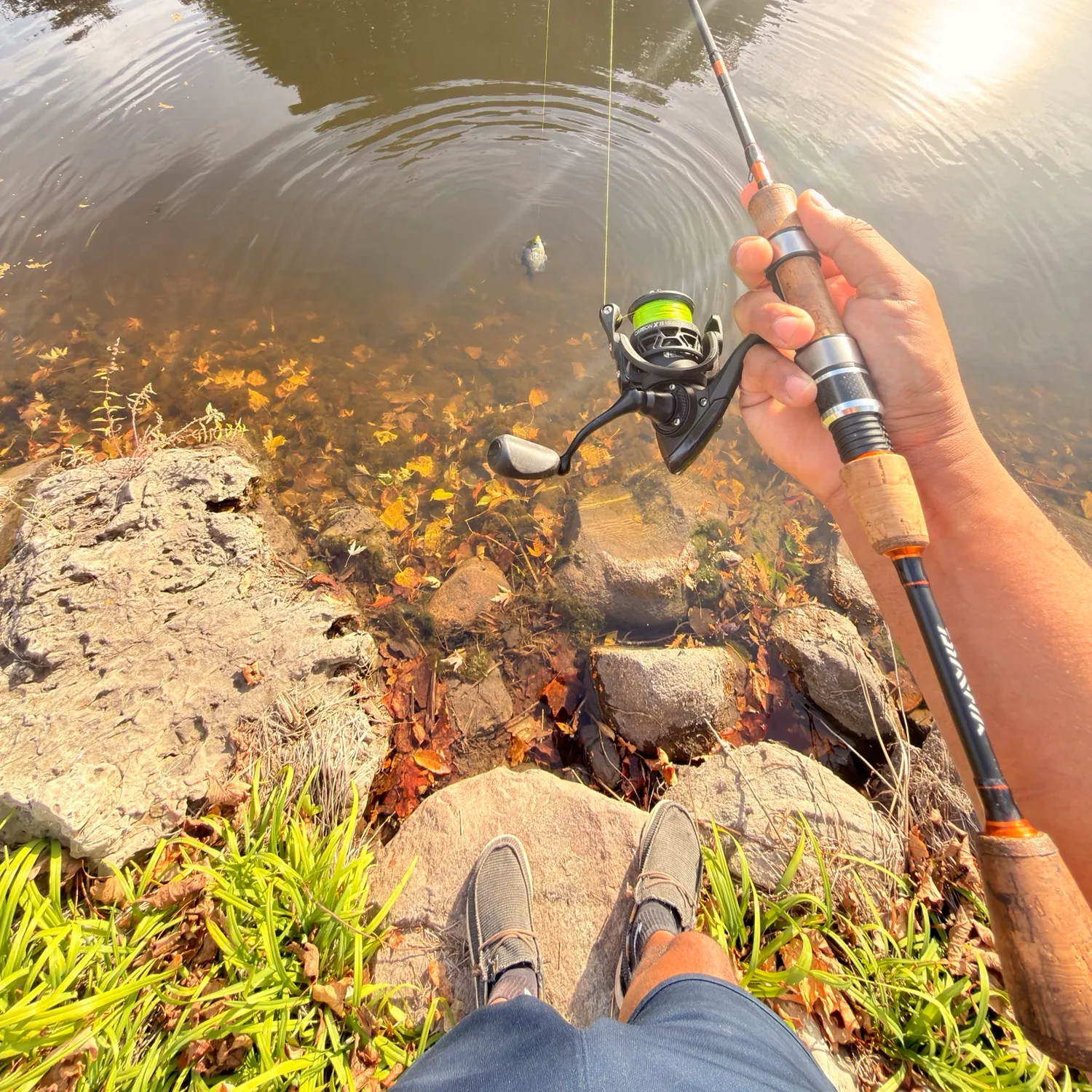 Fish caught on Fishbrain