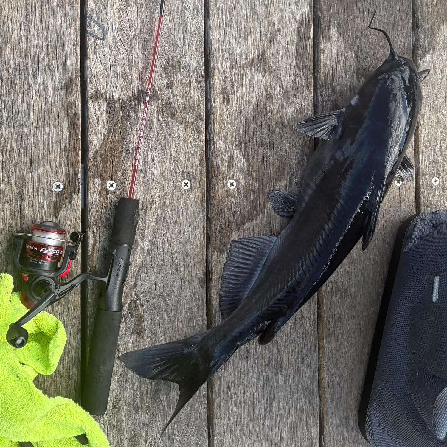 recently logged catches