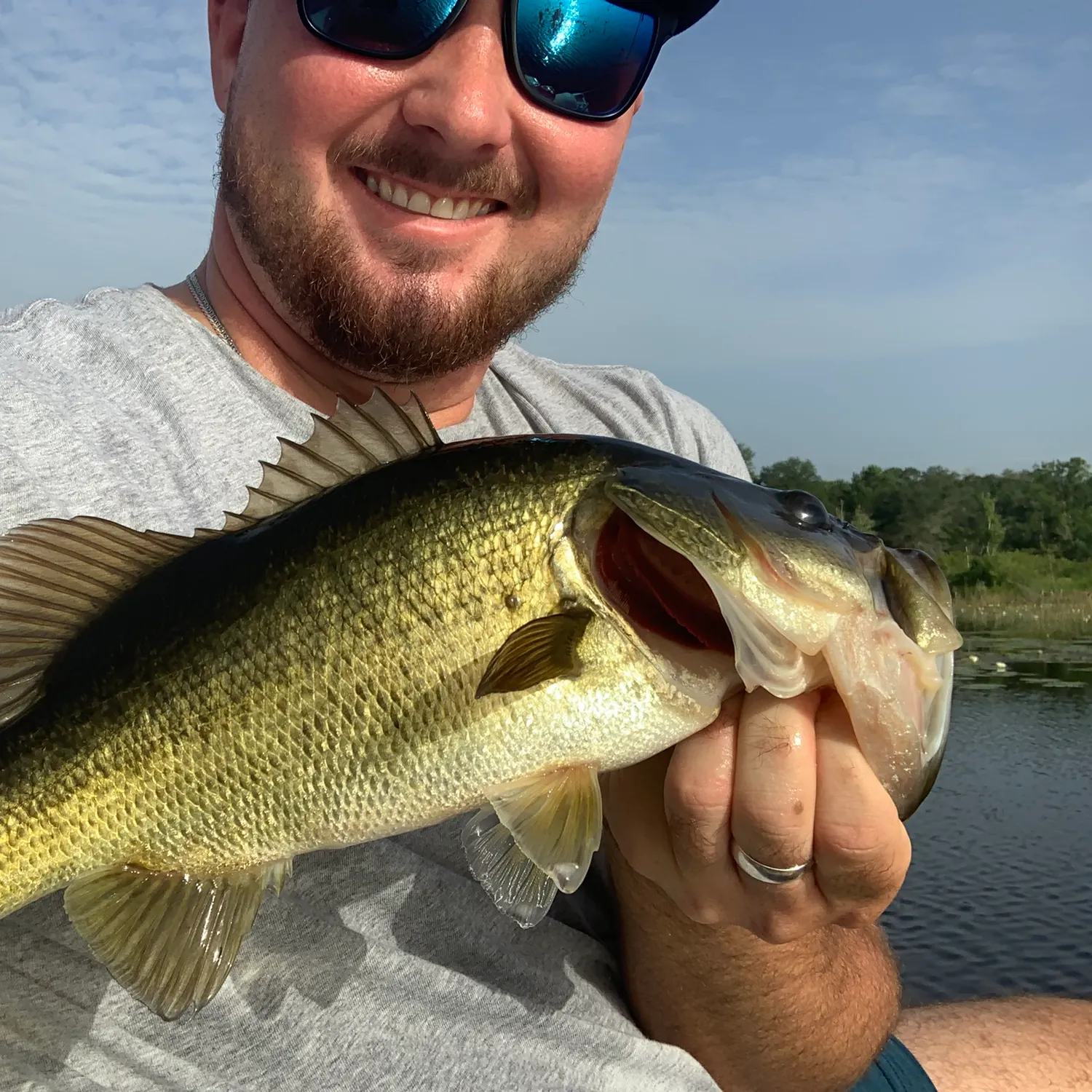 The most recent Largemouth bass catches on Fishbrain