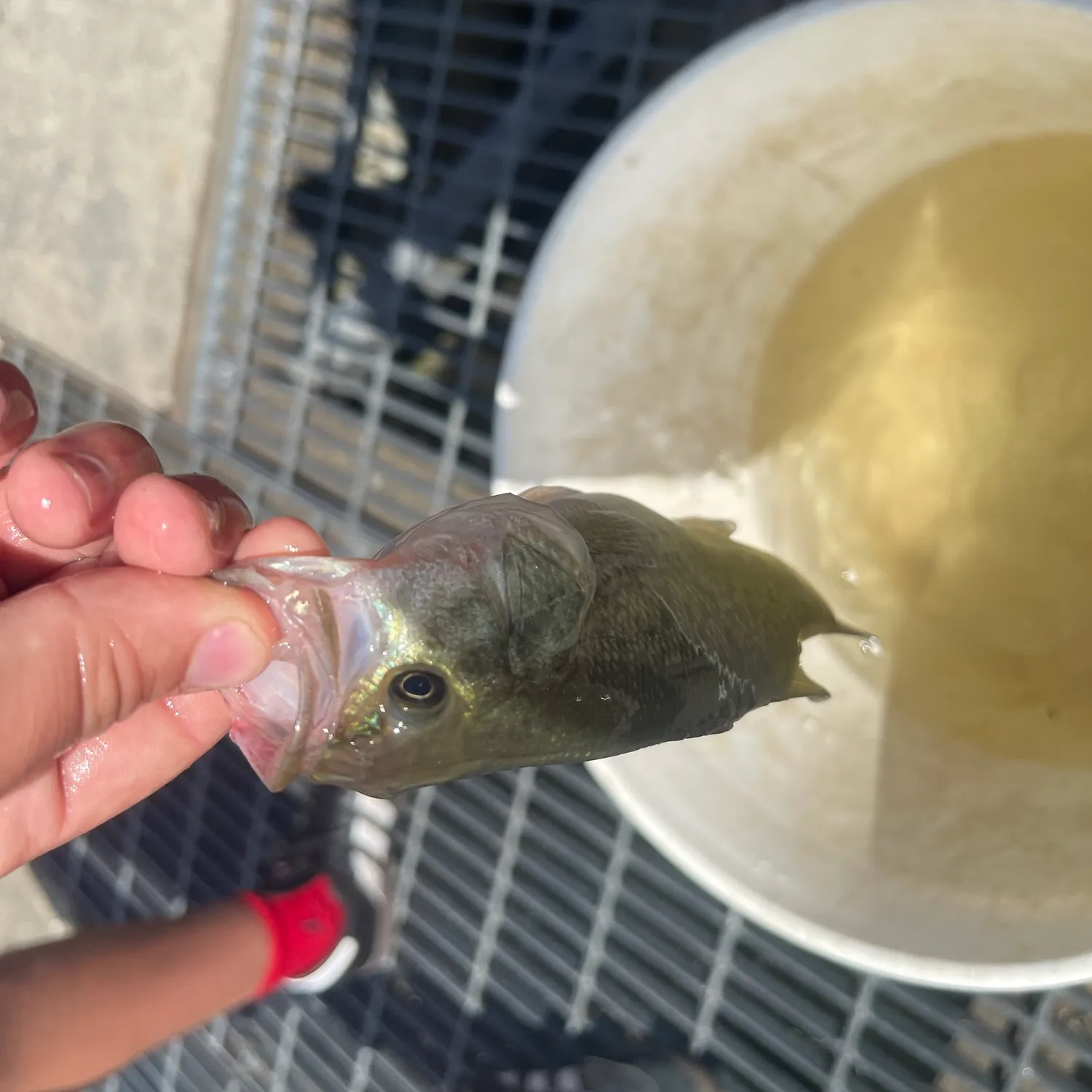 catch