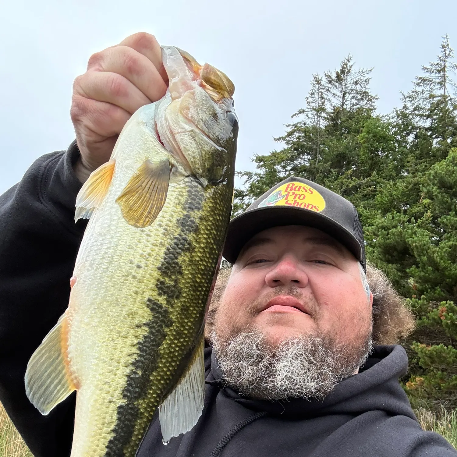 Largemouth bass caught on Fishbrain