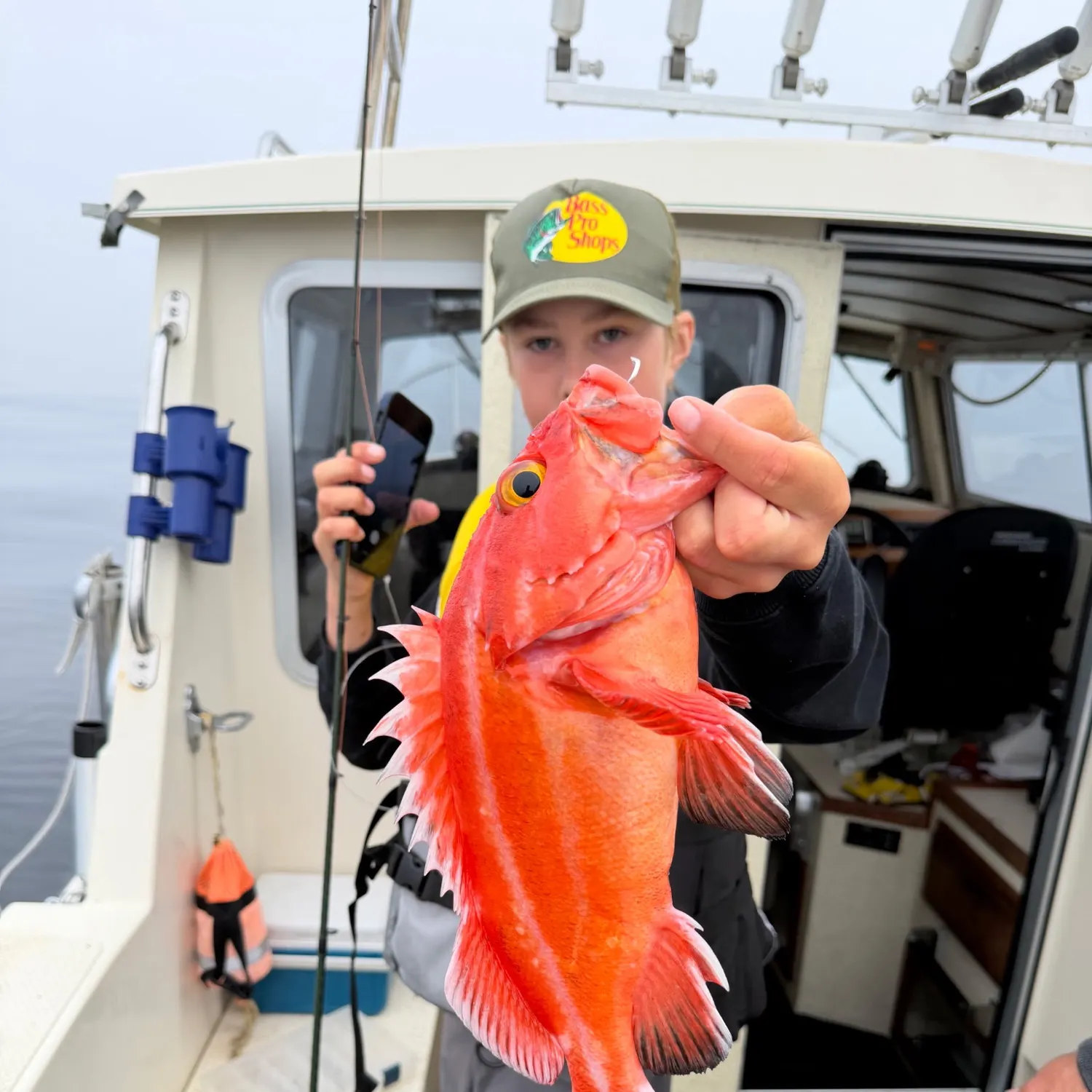 The most recent Yelloweye rockfish catches on Fishbrain