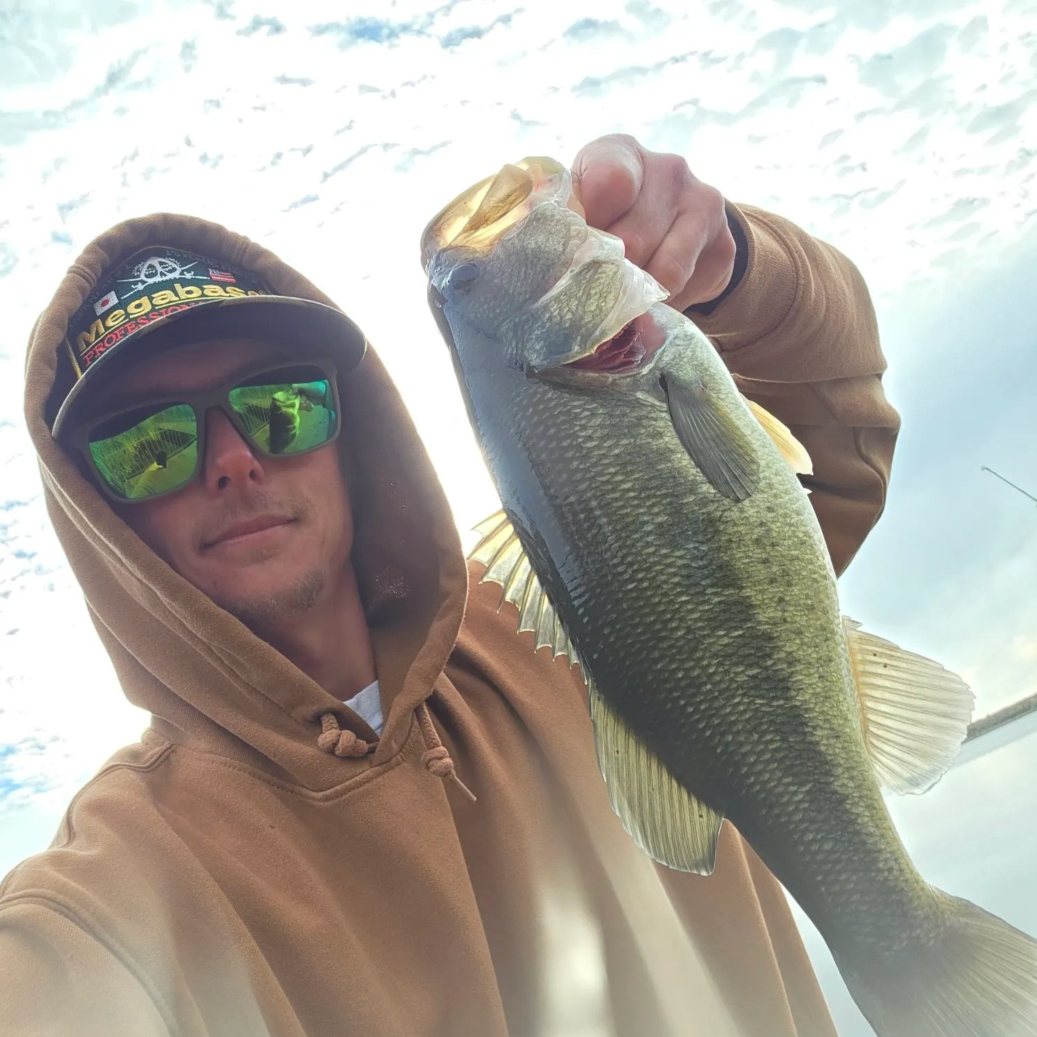 Largemouth bass caught on Fishbrain