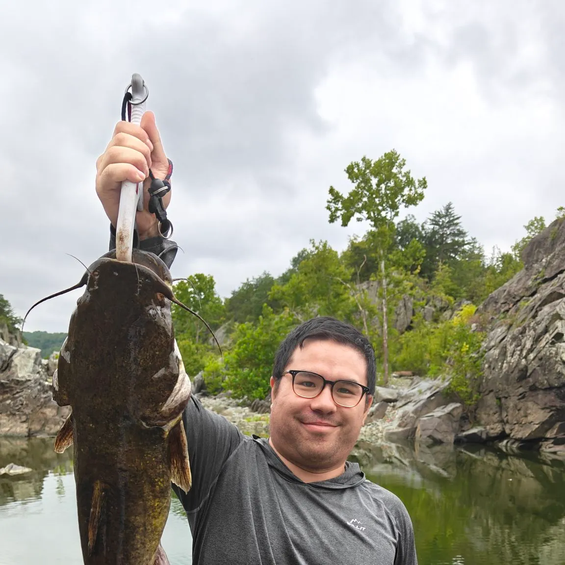 Flathead catfish caught on Fishbrain