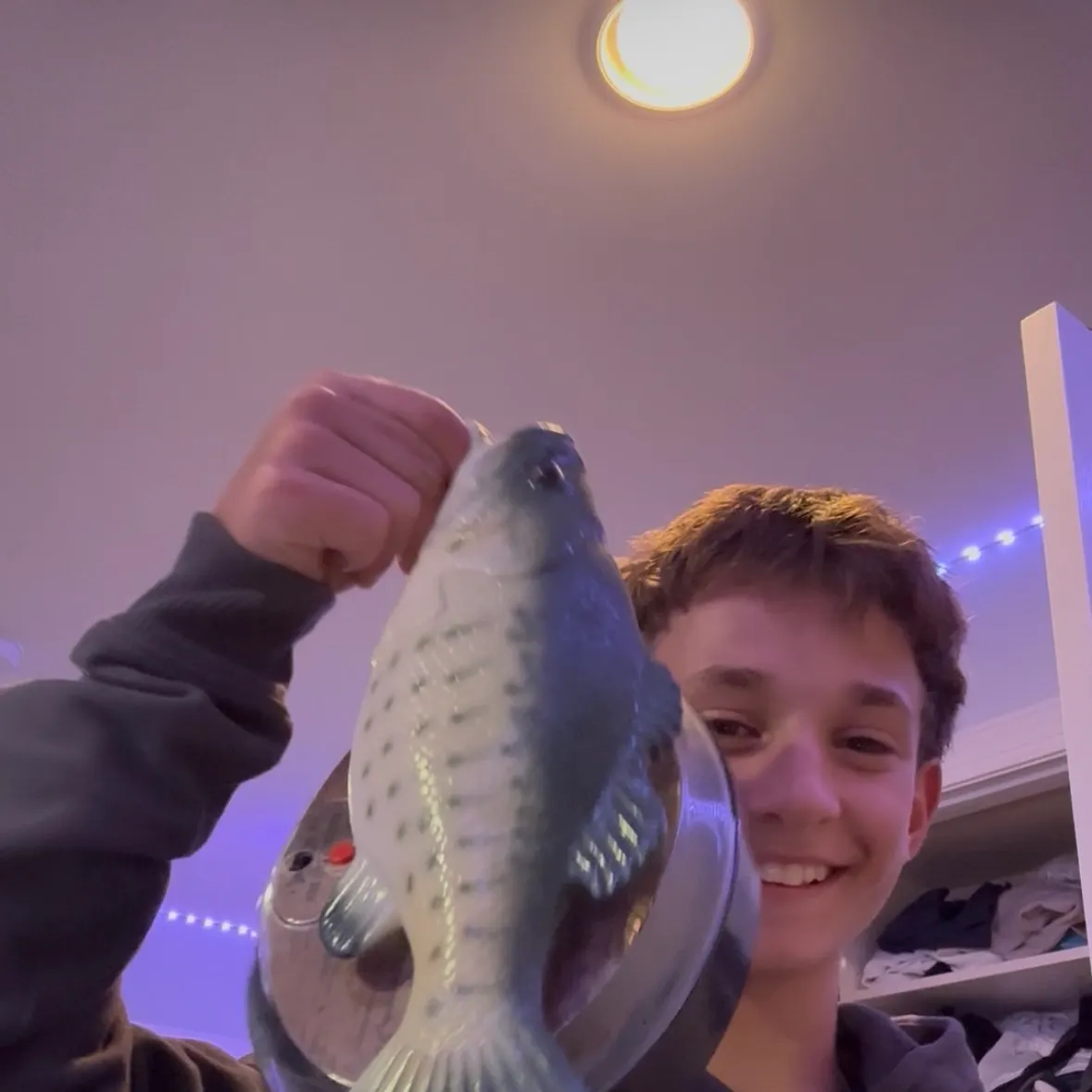Gag grouper caught on Fishbrain