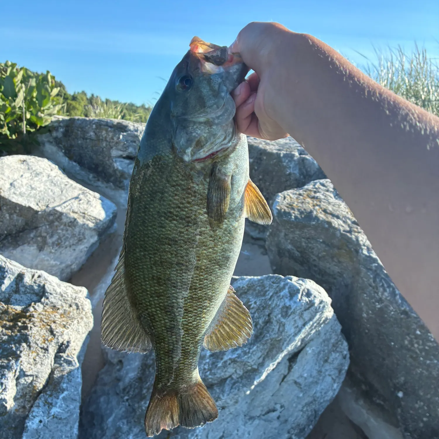 catch