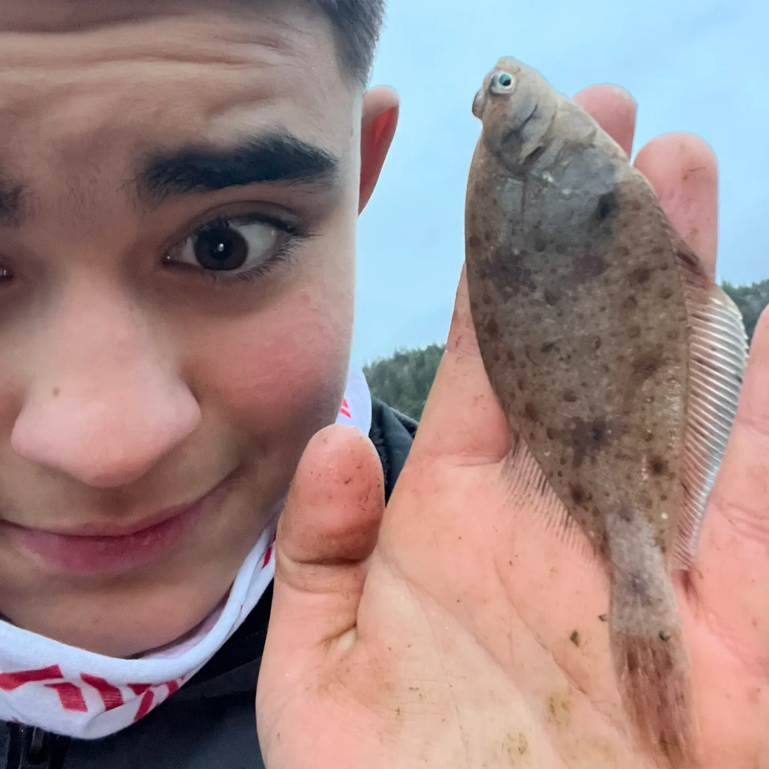 The most recent European plaice catches on Fishbrain