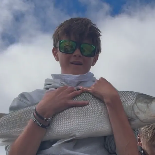 The most recent Inconnu catches on Fishbrain