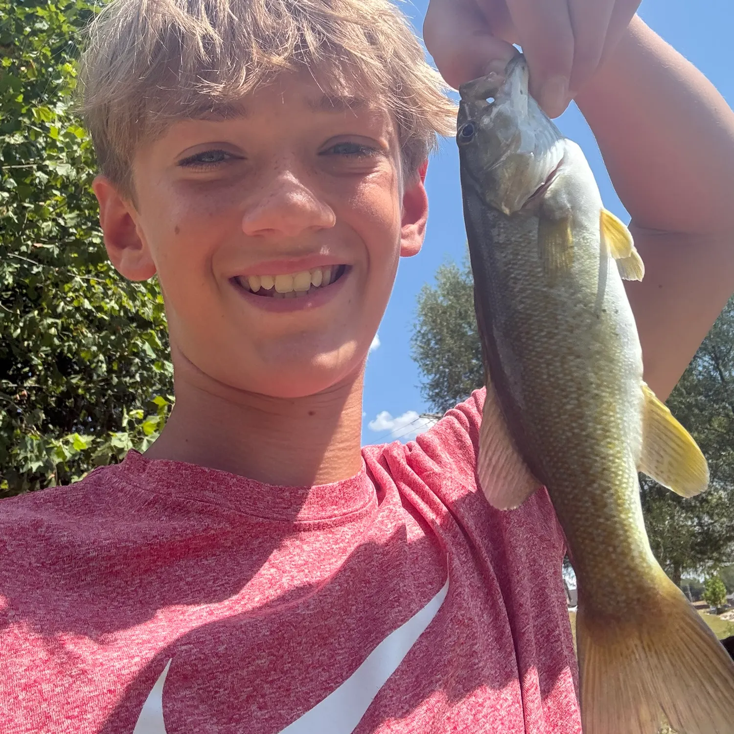 Smallmouth bass caught on Fishbrain