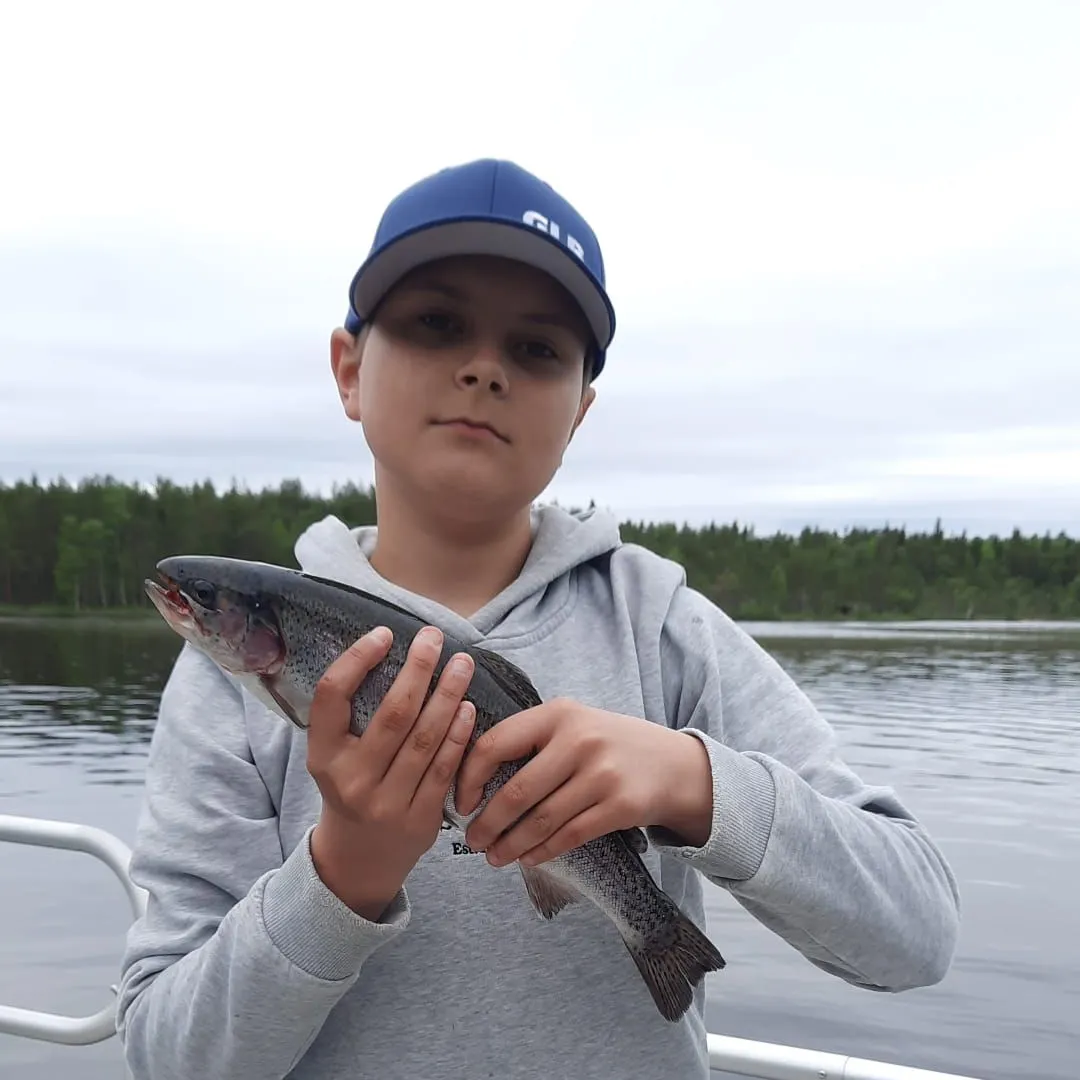 Rainbow trout caught on Fishbrain