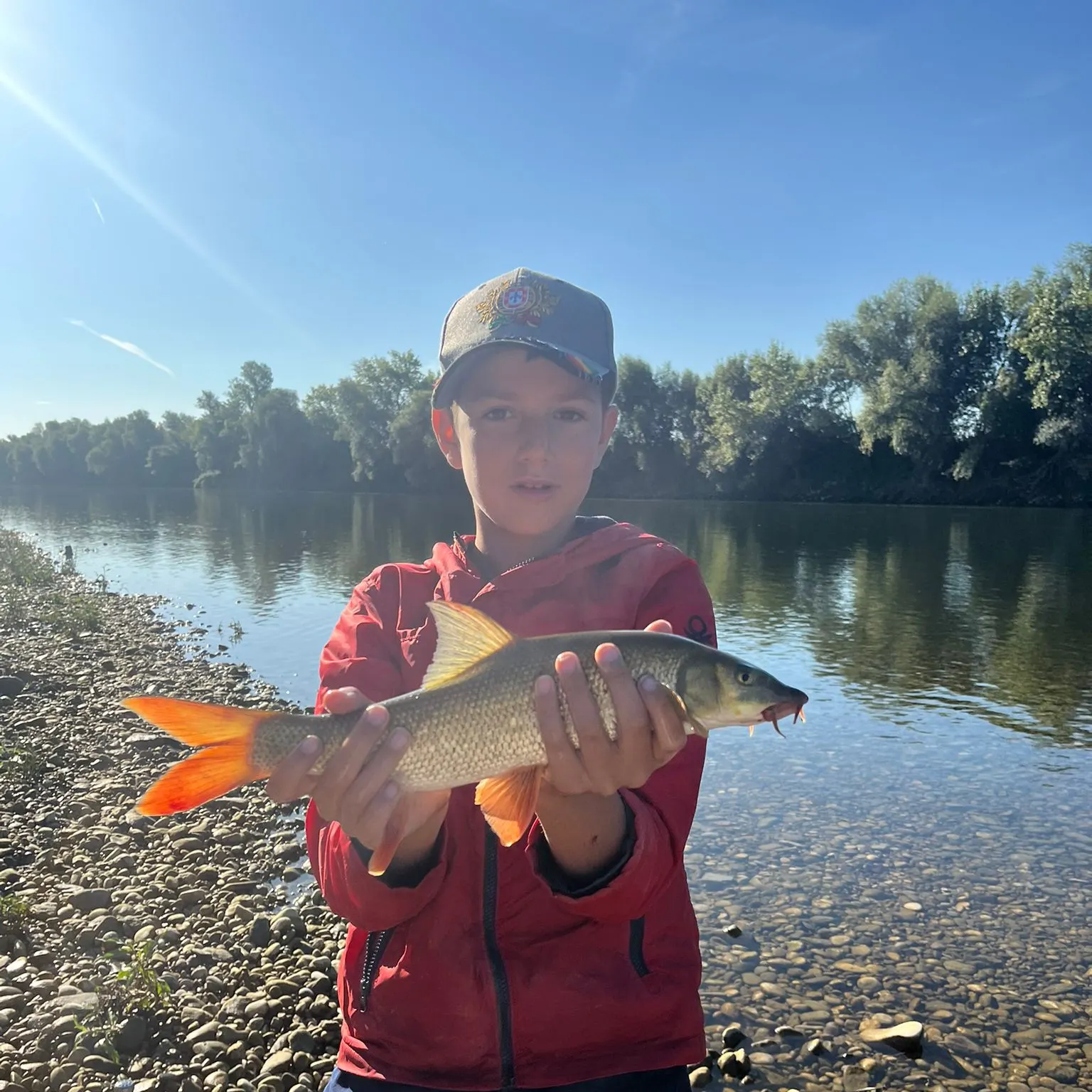 The most recent Common barbel catches on Fishbrain