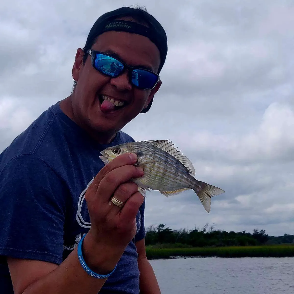 White seabream caught on Fishbrain