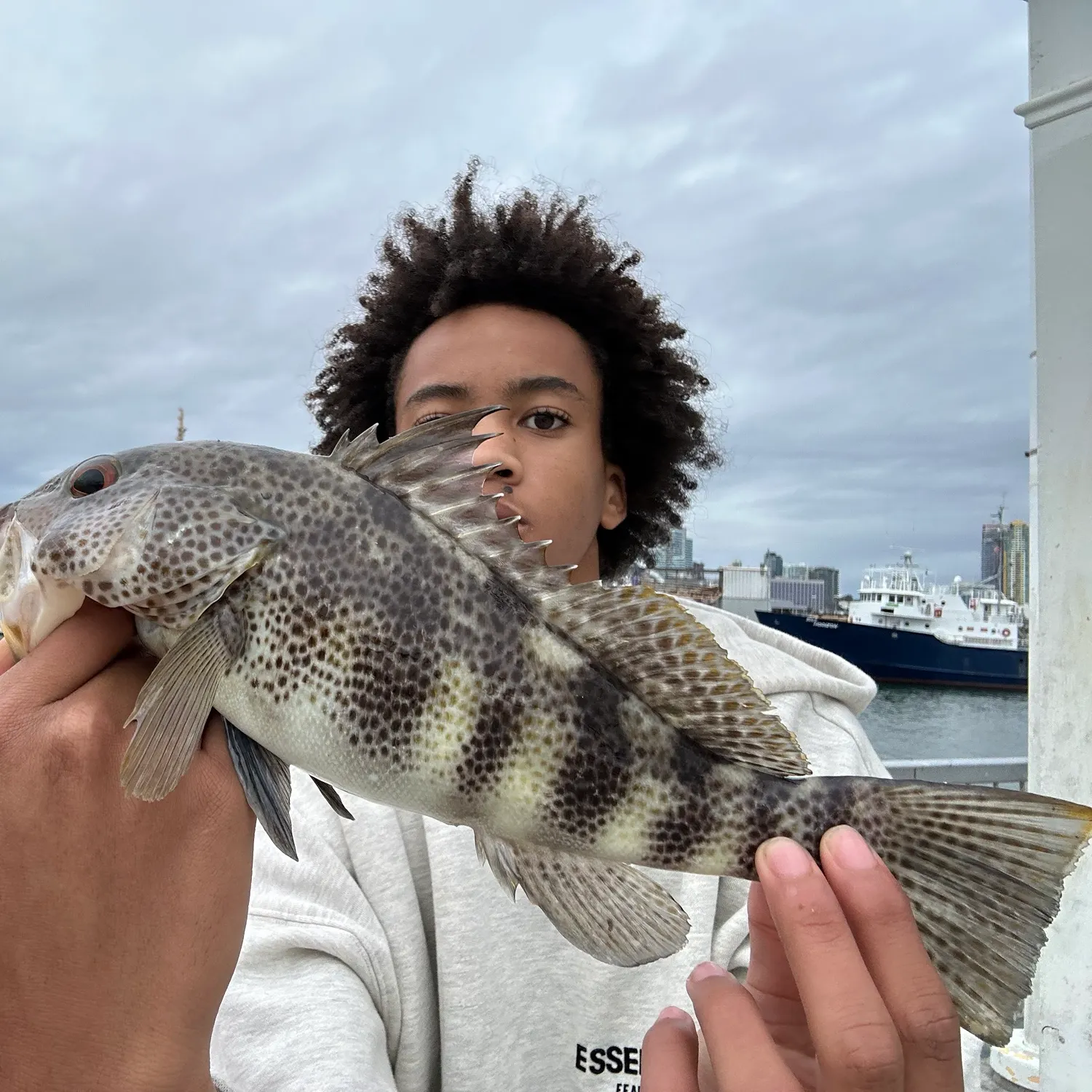 The most recent Spotted sand bass catches on Fishbrain