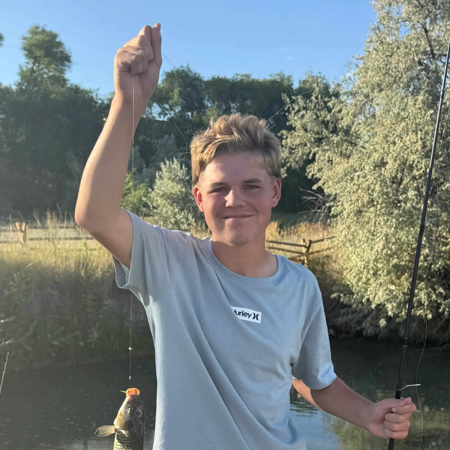 Common carp caught on Fishbrain