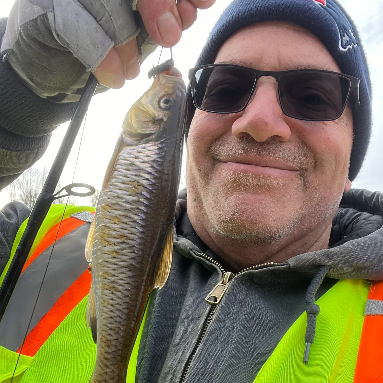 The most recent Striped shiner catches on Fishbrain