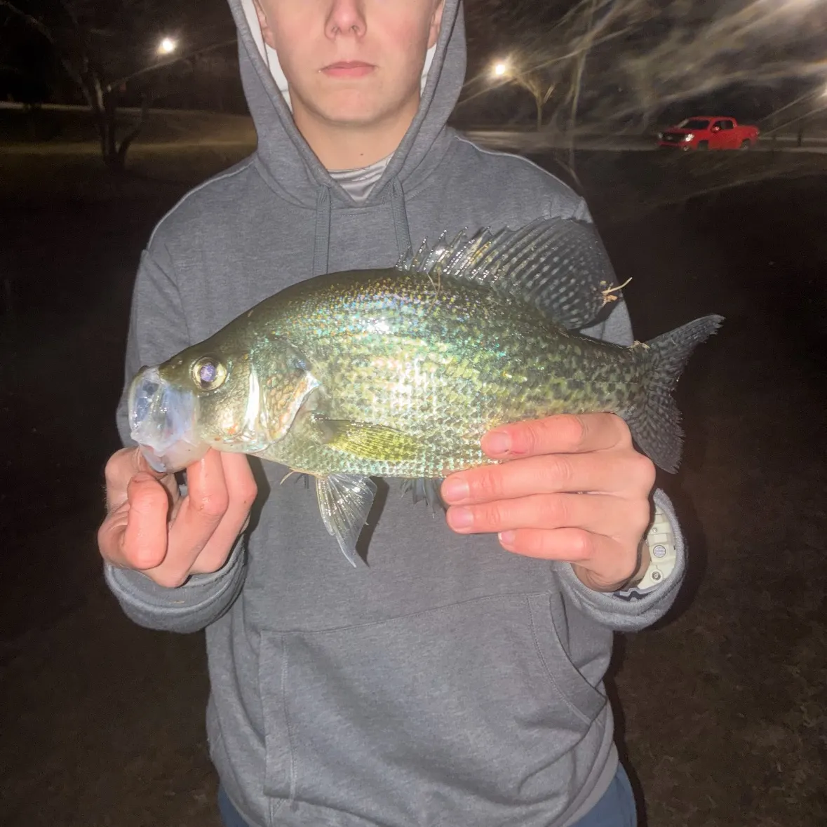 The most recent Black crappie catches on Fishbrain