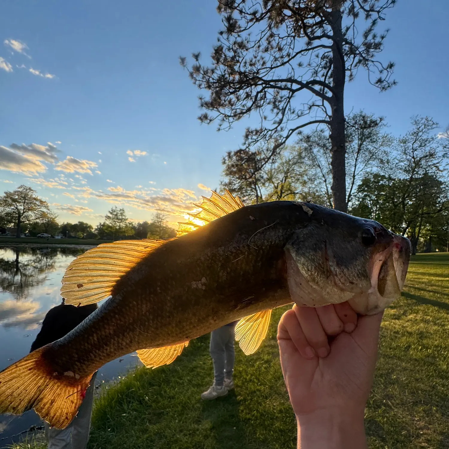 catch