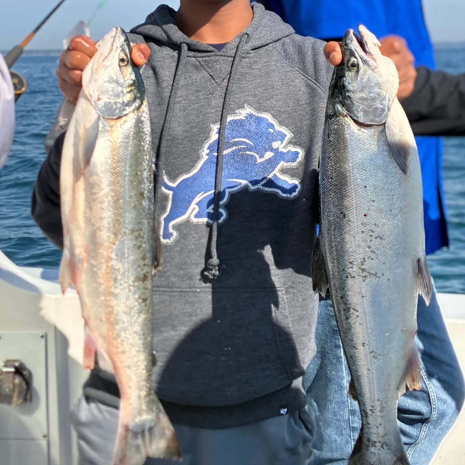The most recent Coho salmon catches on Fishbrain