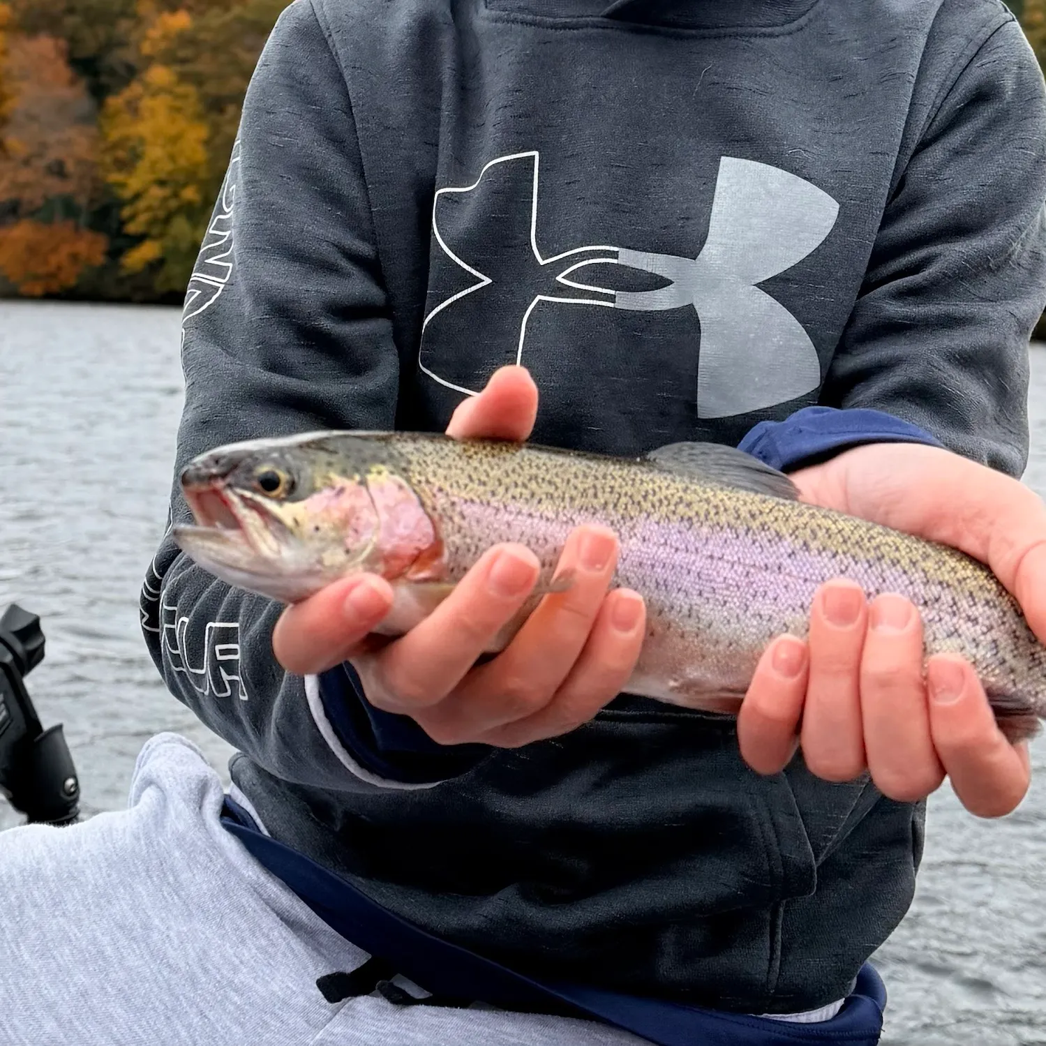Rainbow trout caught on Fishbrain