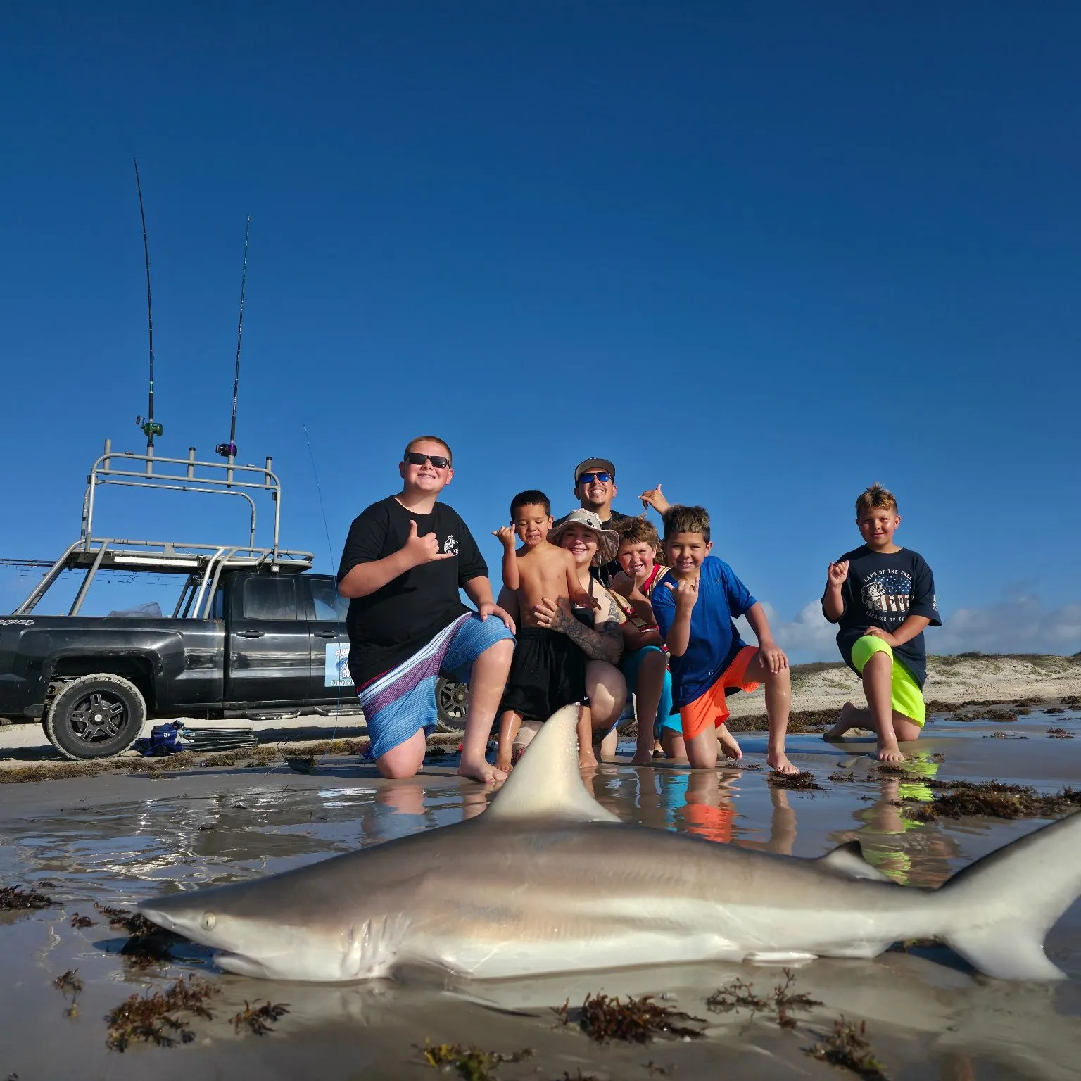 The most recent Blacktip shark catches on Fishbrain