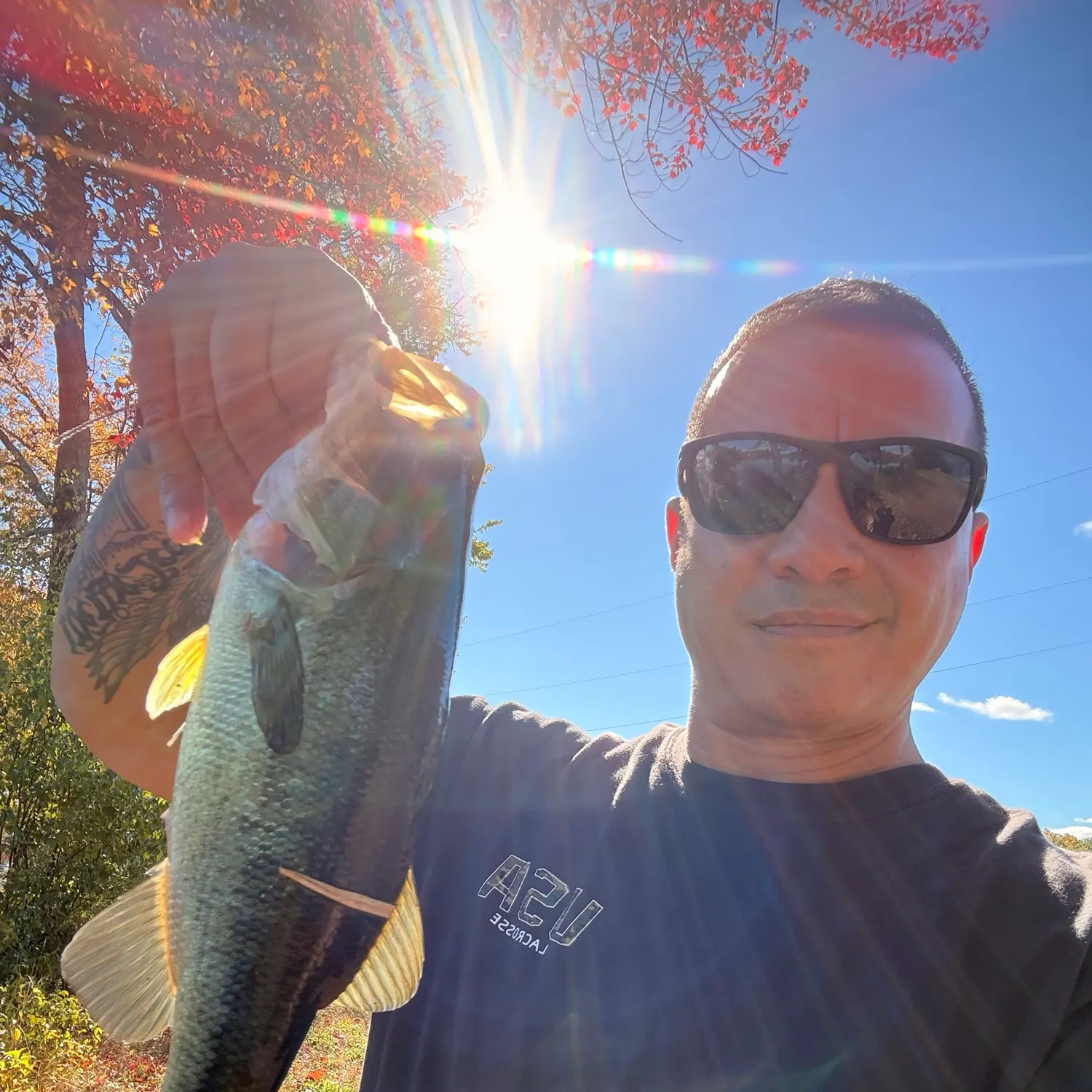 Largemouth bass caught on Fishbrain