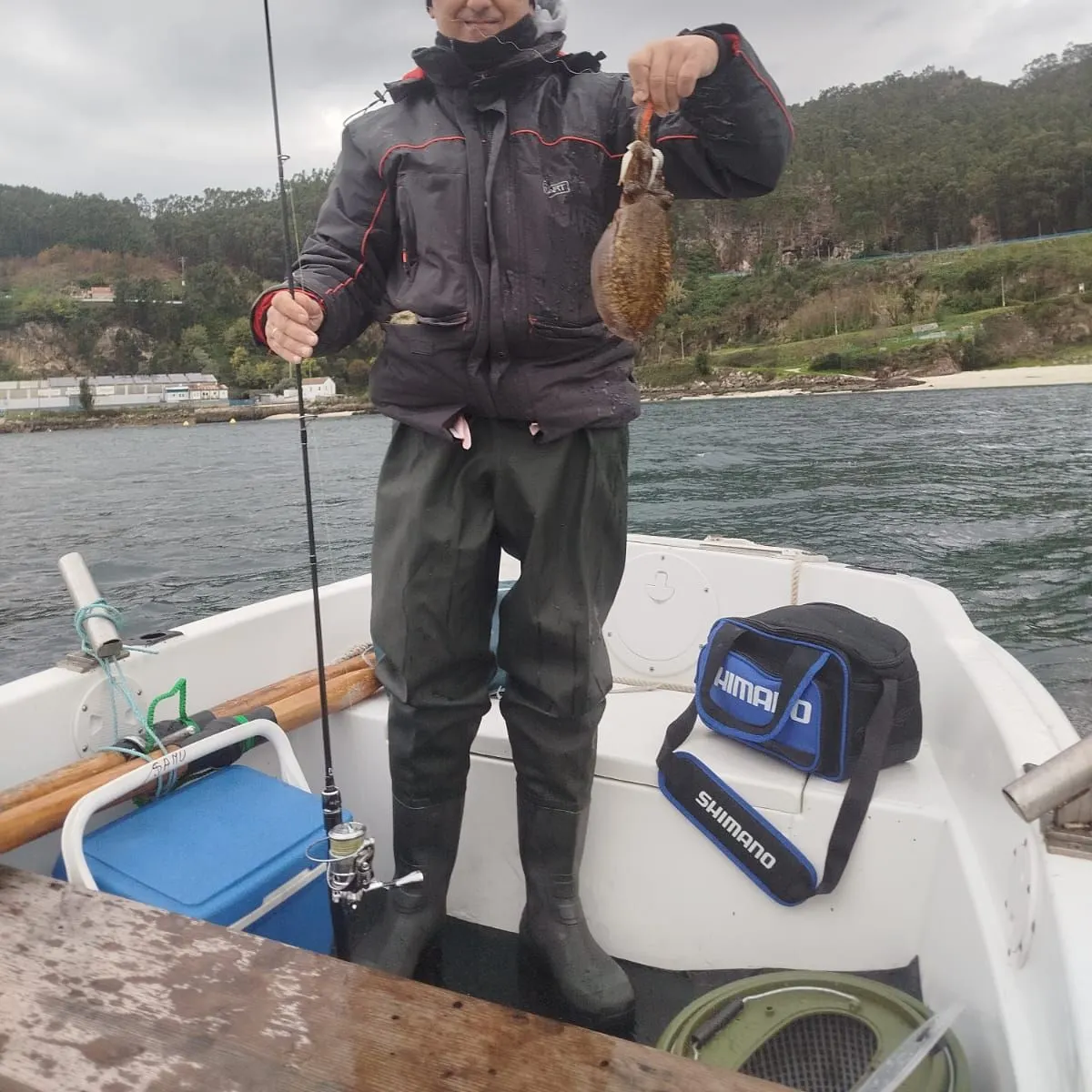 The most recent Common cuttlefish catches on Fishbrain