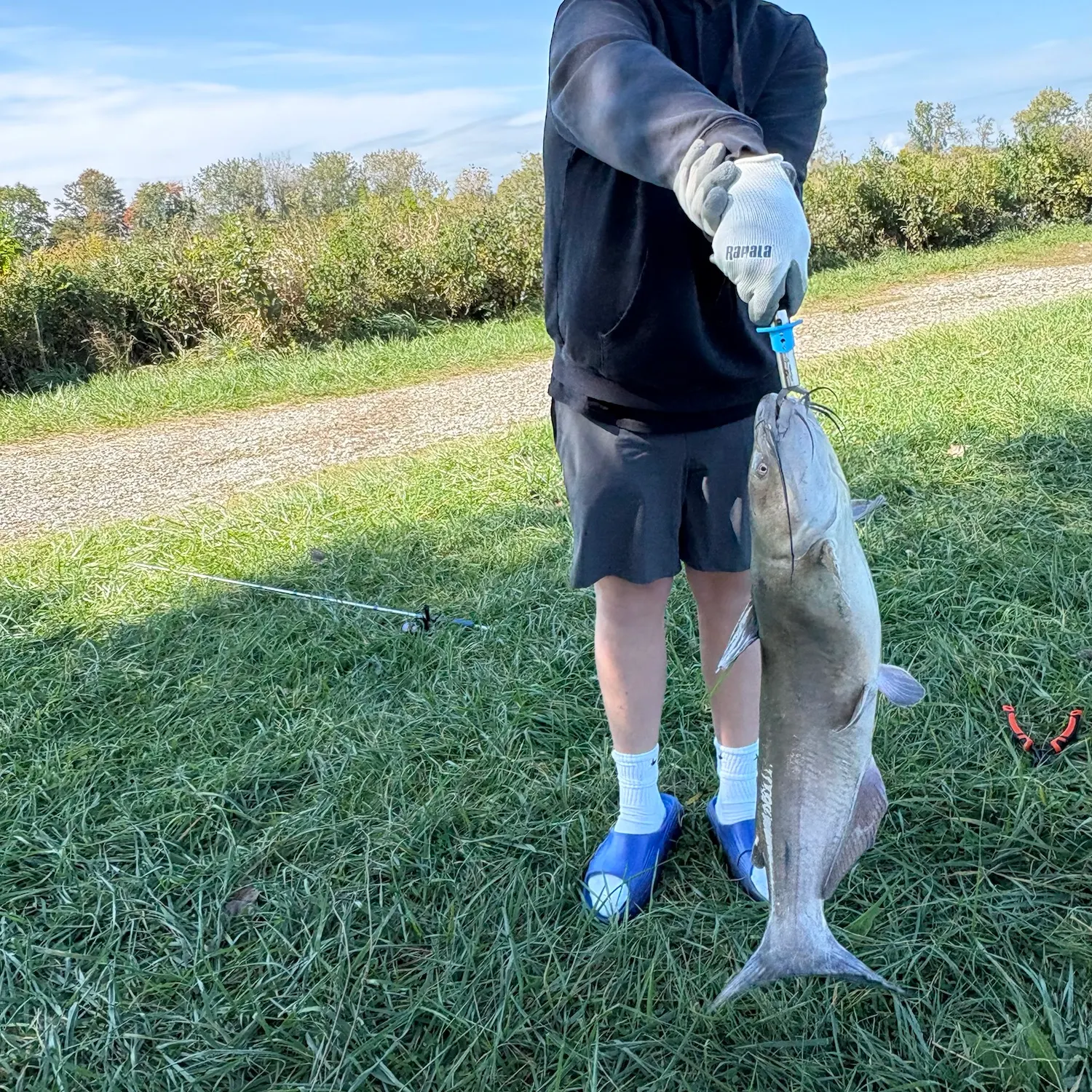 Channel catfish caught on Fishbrain