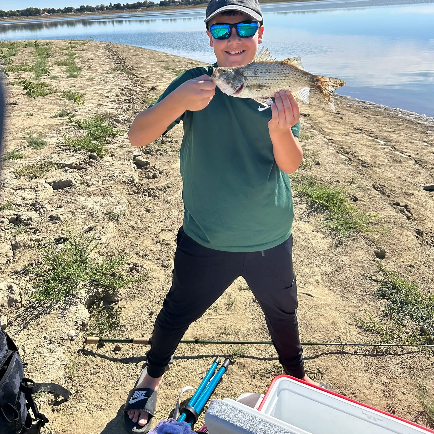 White bass caught on Fishbrain