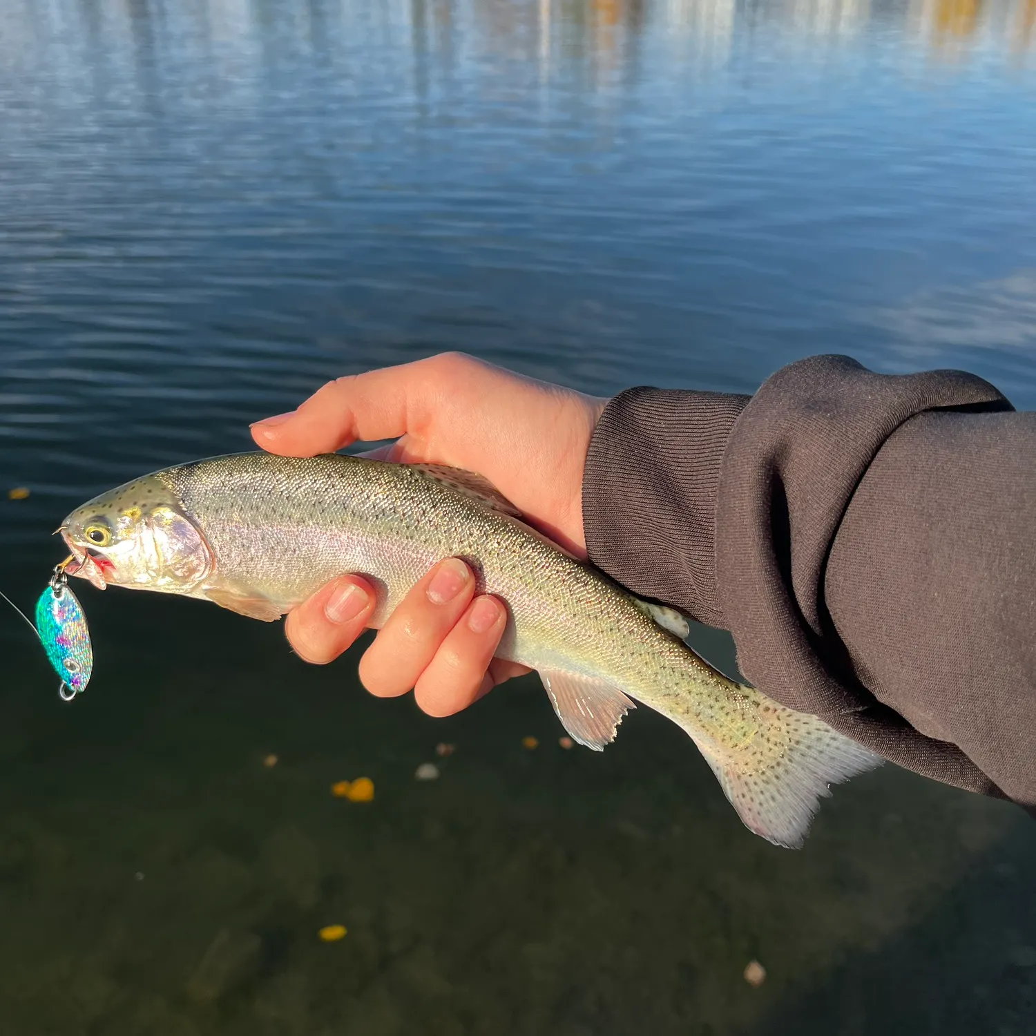 Rainbow trout caught on Fishbrain