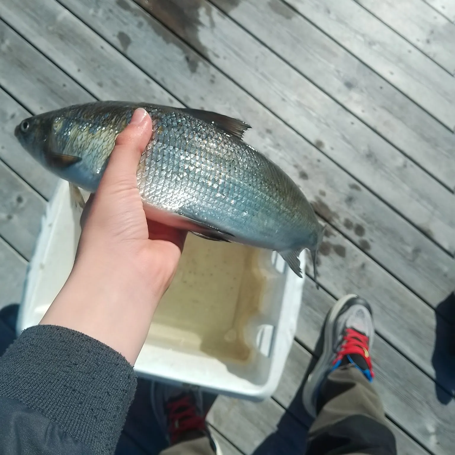 catch