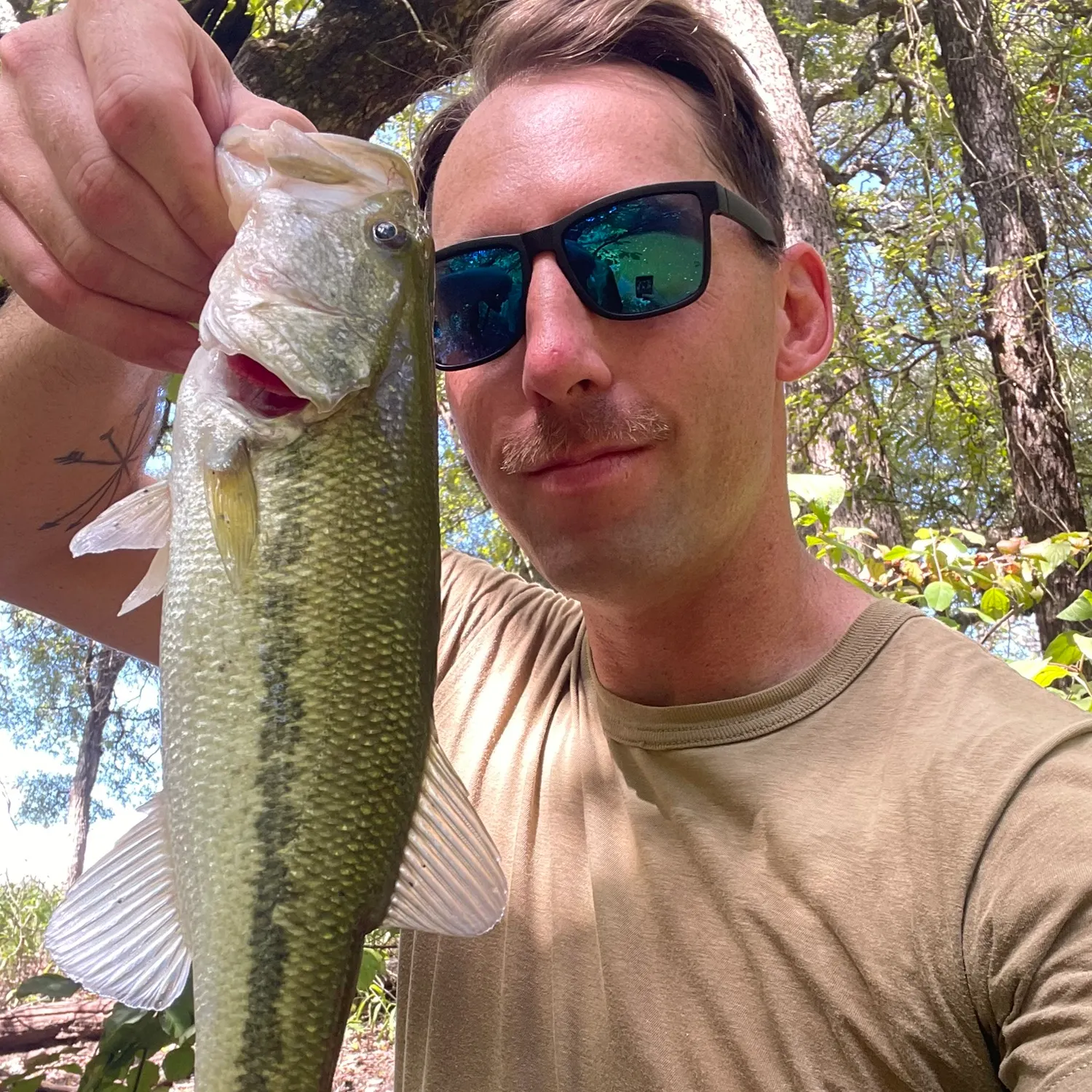 Largemouth bass caught on Fishbrain