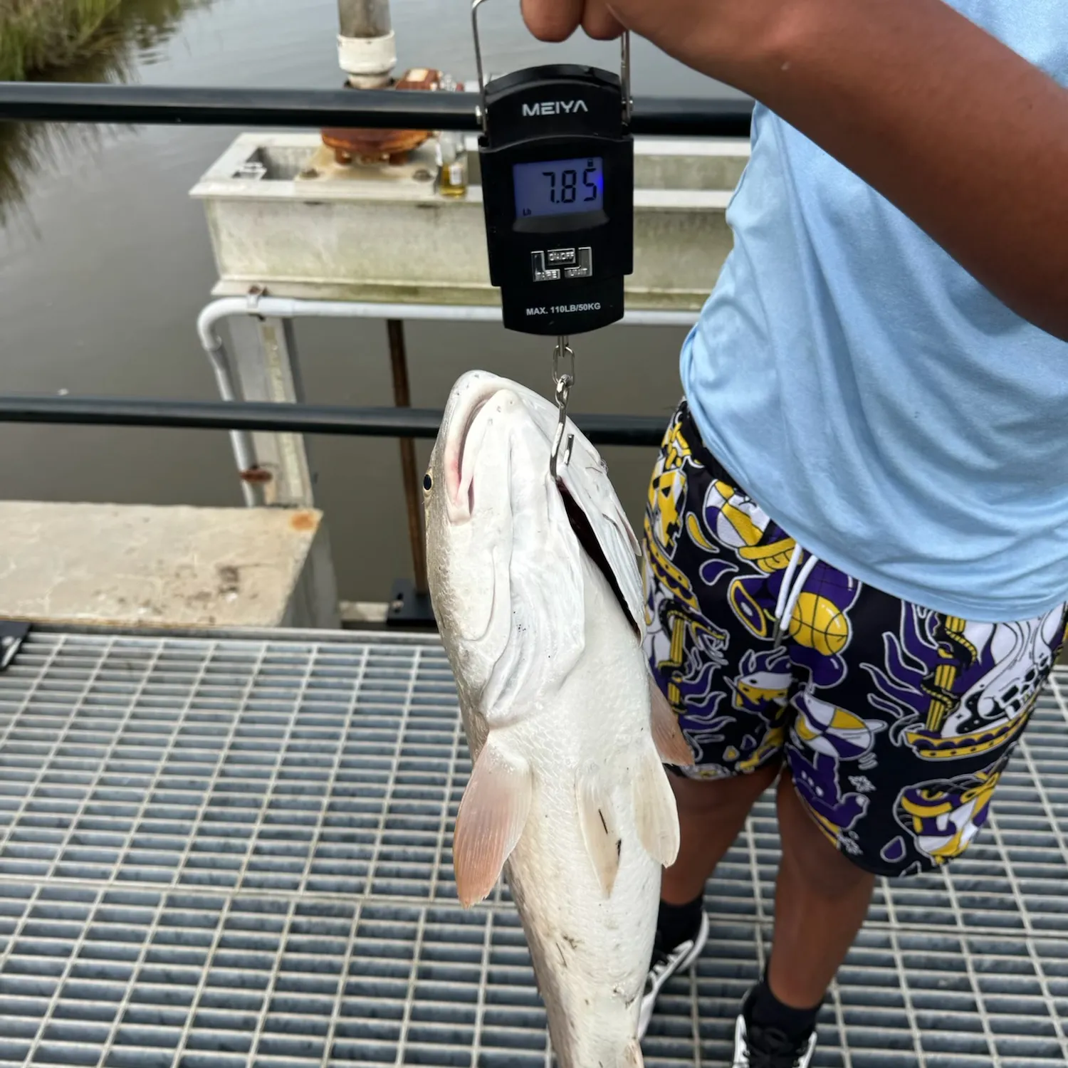 Red drum caught on Fishbrain