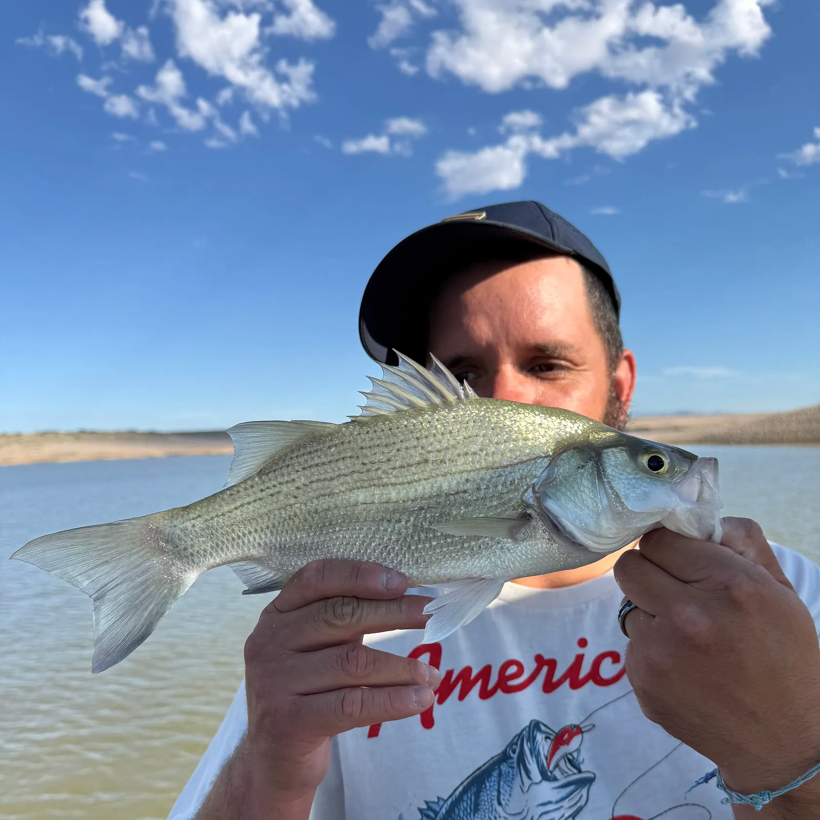 The most recent White bass catches on Fishbrain
