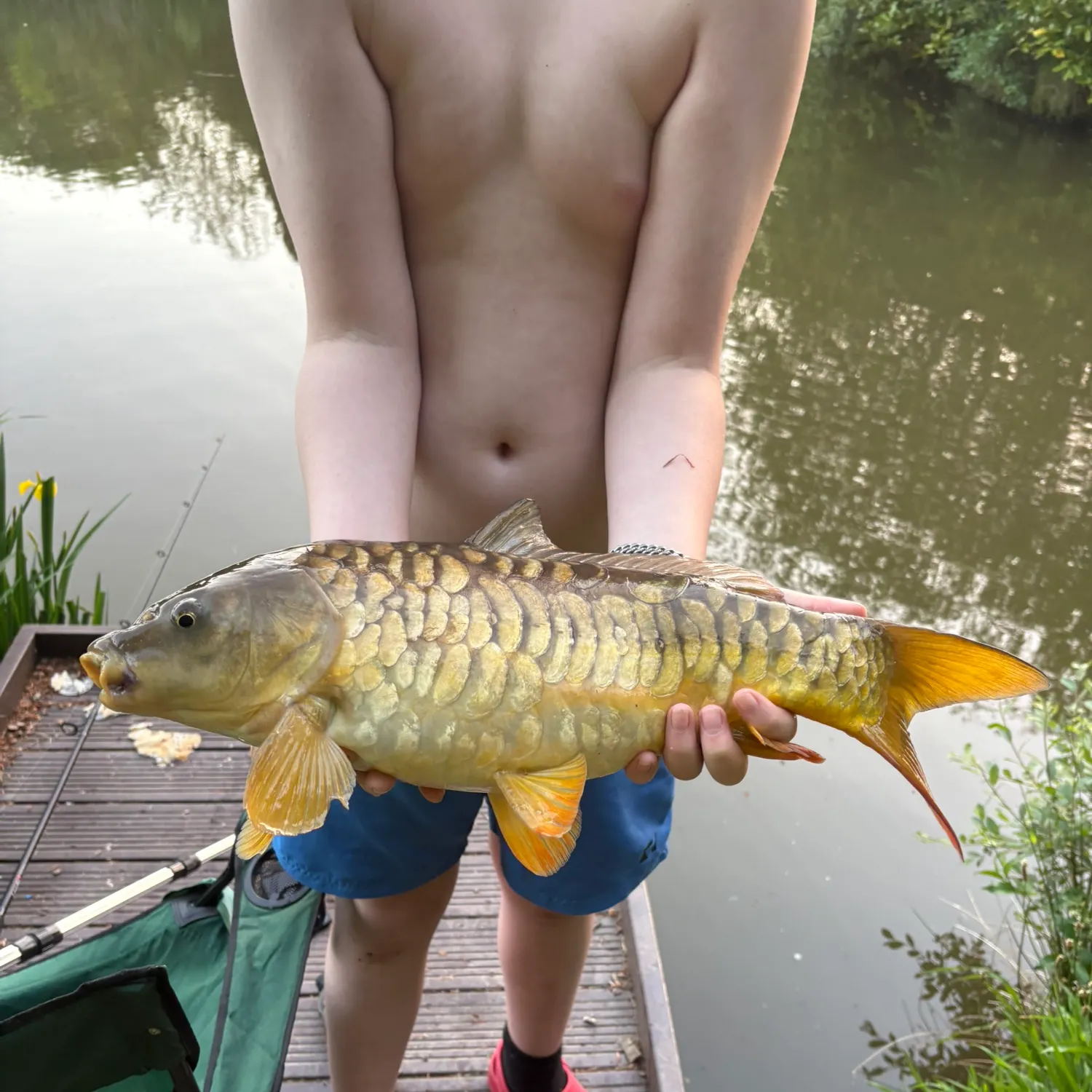 Mirror carp caught on Fishbrain