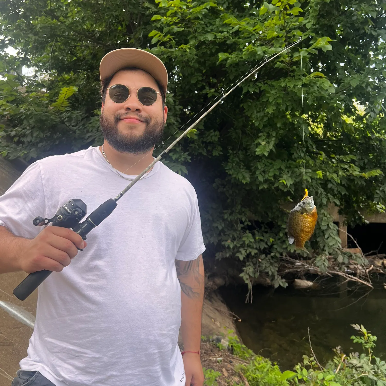 Bluegill caught on Fishbrain
