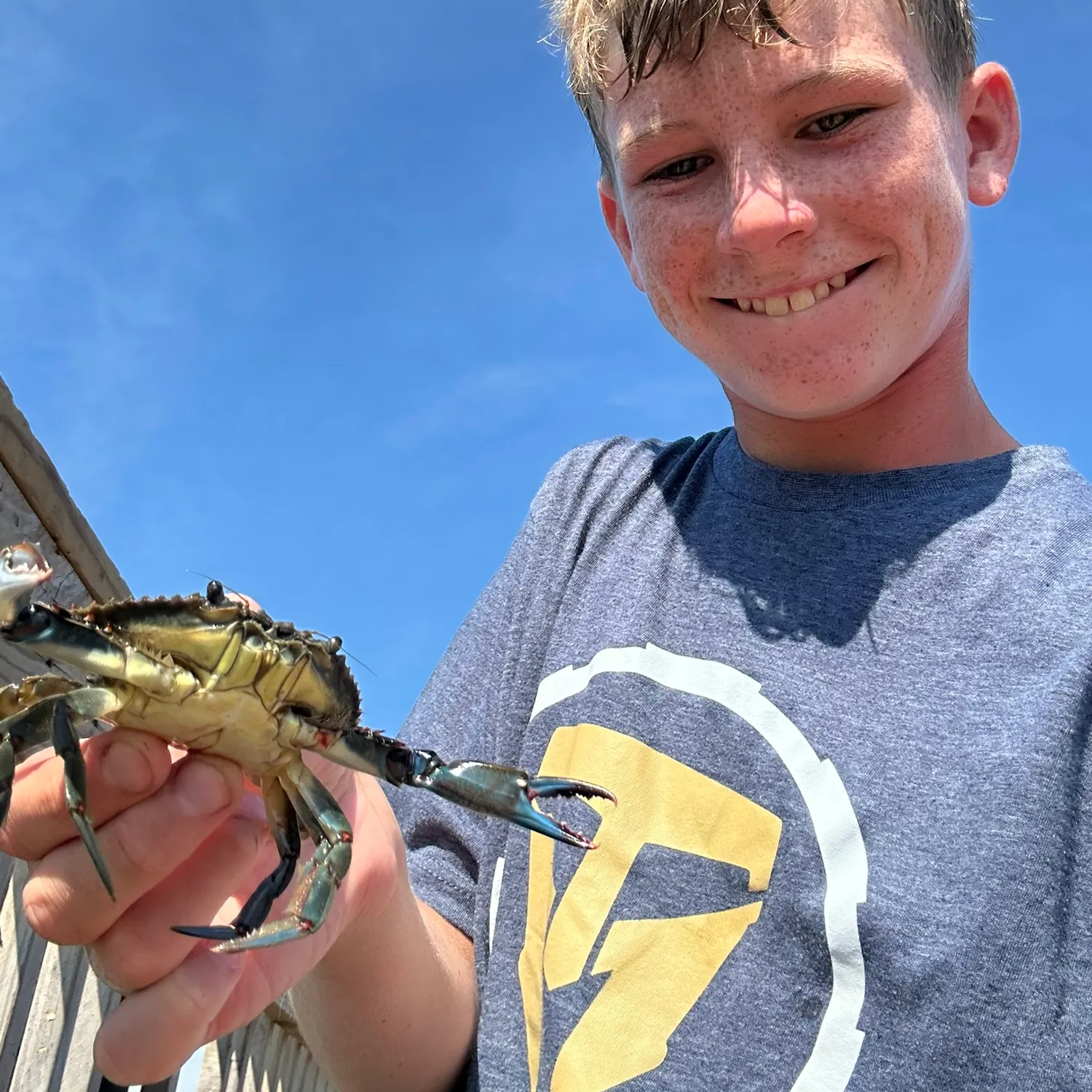 Blue crab caught on Fishbrain