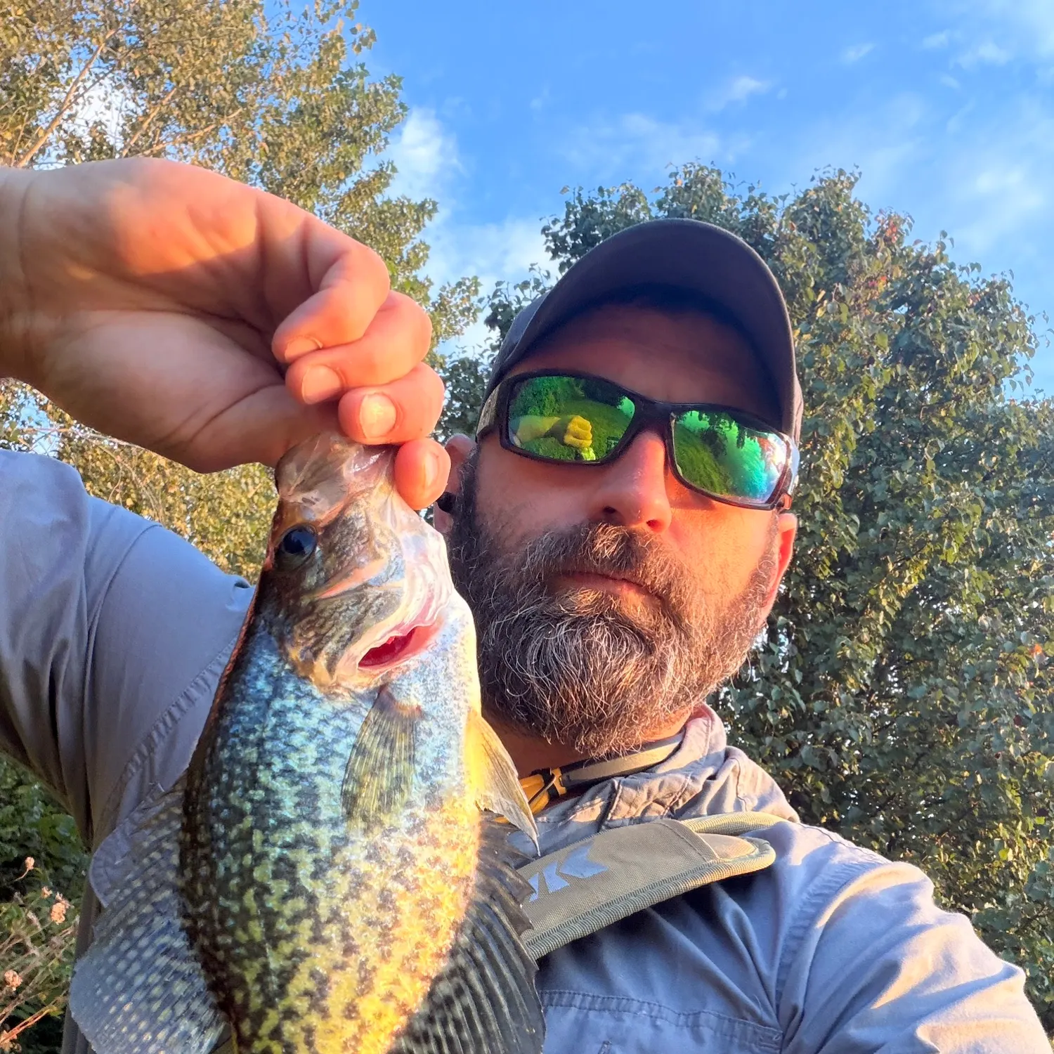 Black crappie caught on Fishbrain