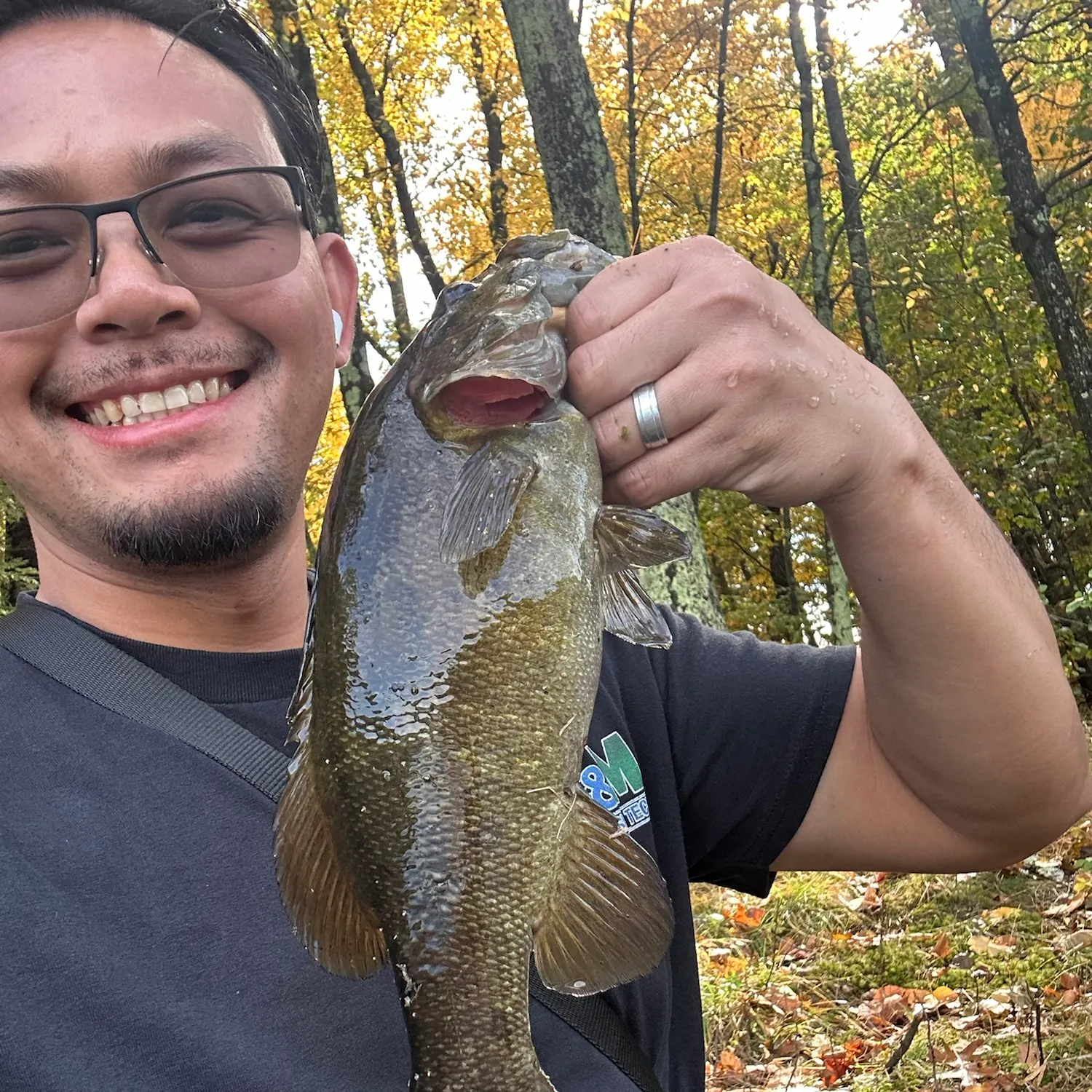 Smallmouth bass caught on Fishbrain